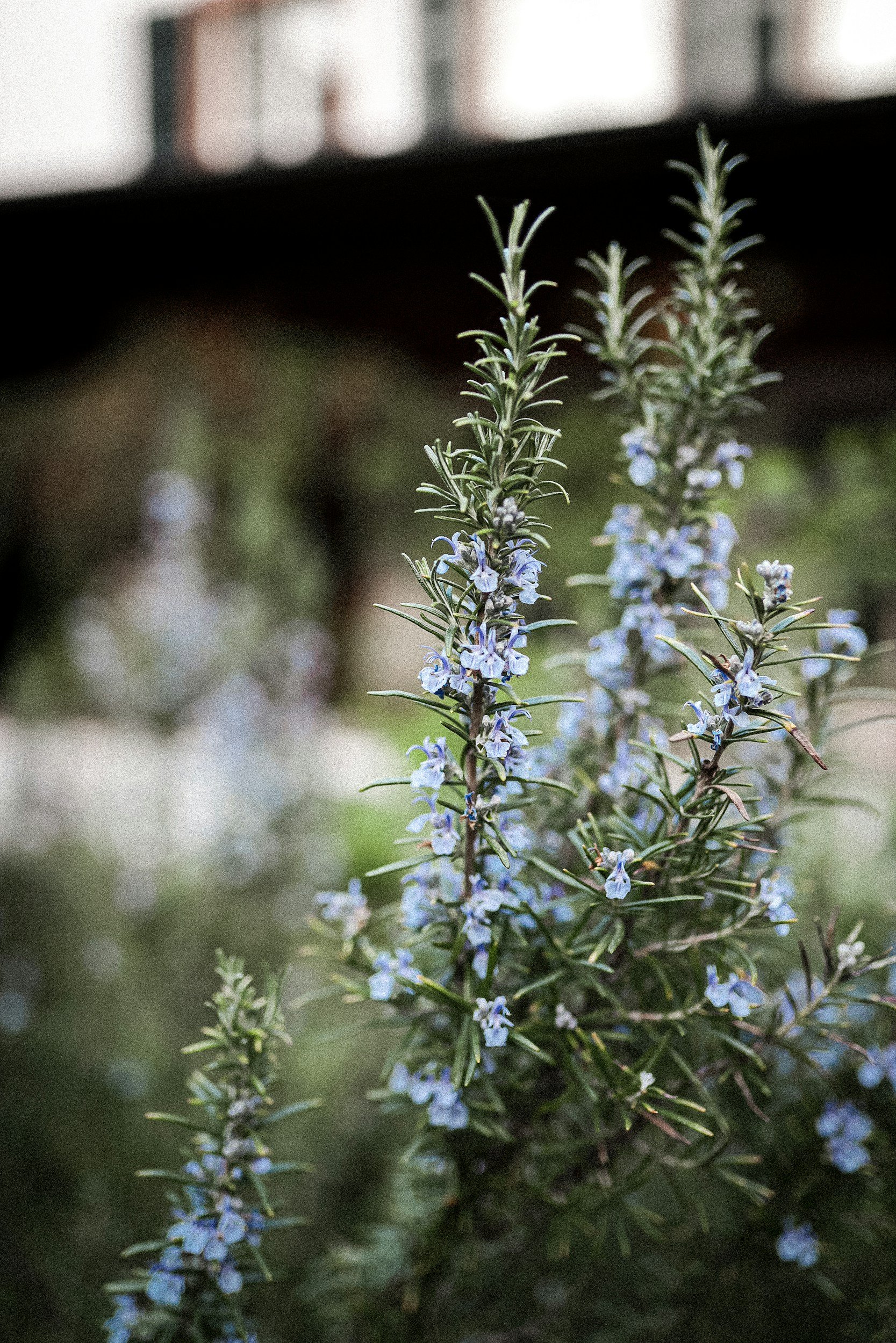 unsplash-image-BERQYh8WTz0.jpg