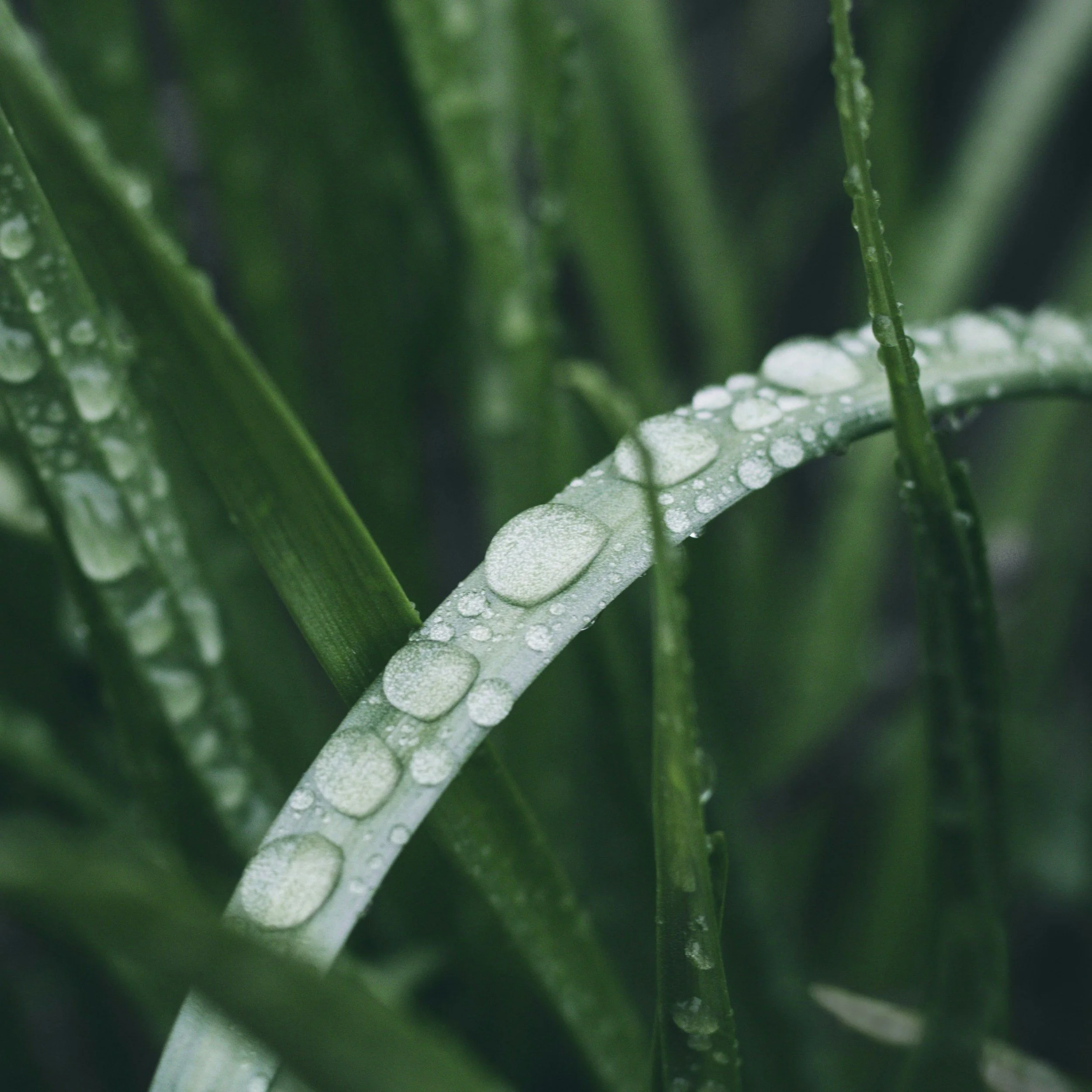 unsplash-image-jOcna3Qhx9I.jpg