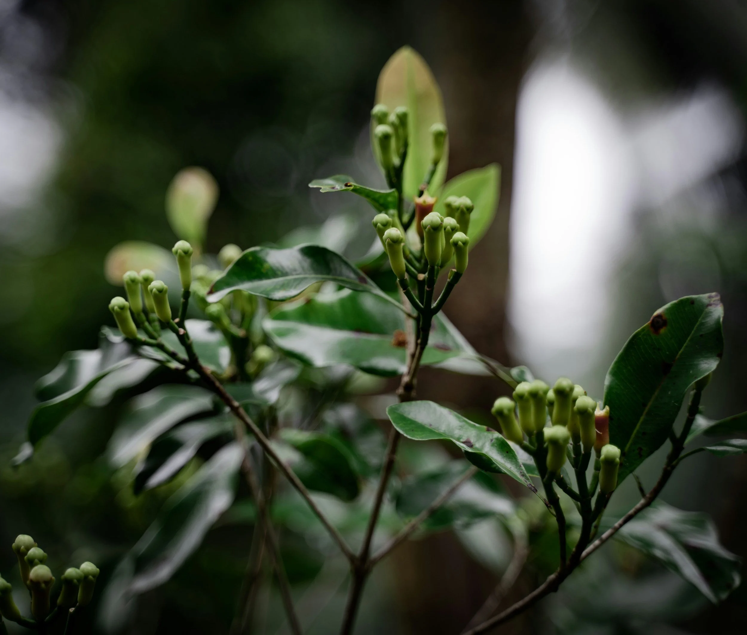 unsplash-image-43Pgcnz7tPU.jpg