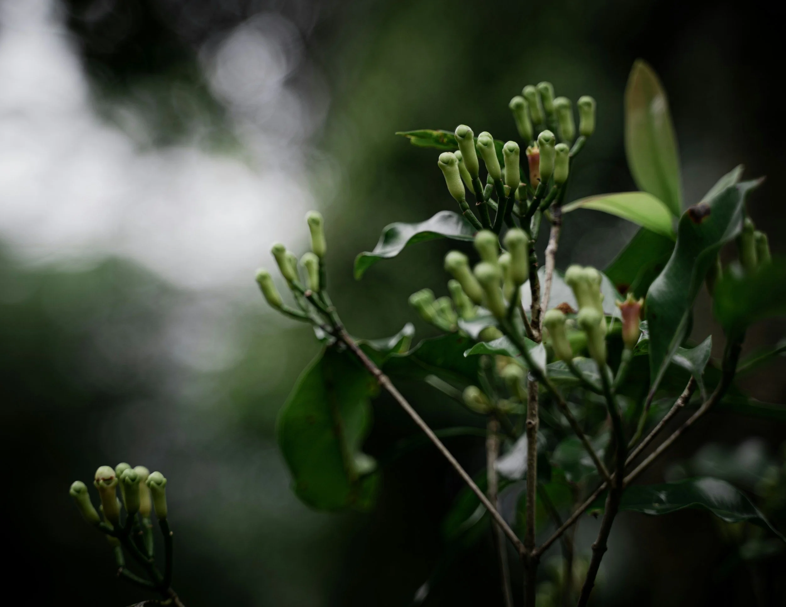 unsplash-image-k7_IXz2sZ24.jpg