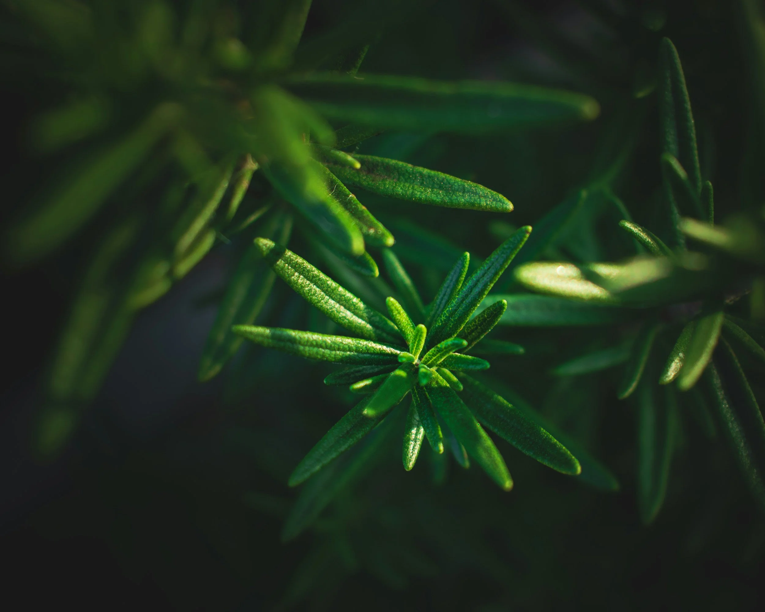 unsplash-image-W7xQkfzjnUU.jpg