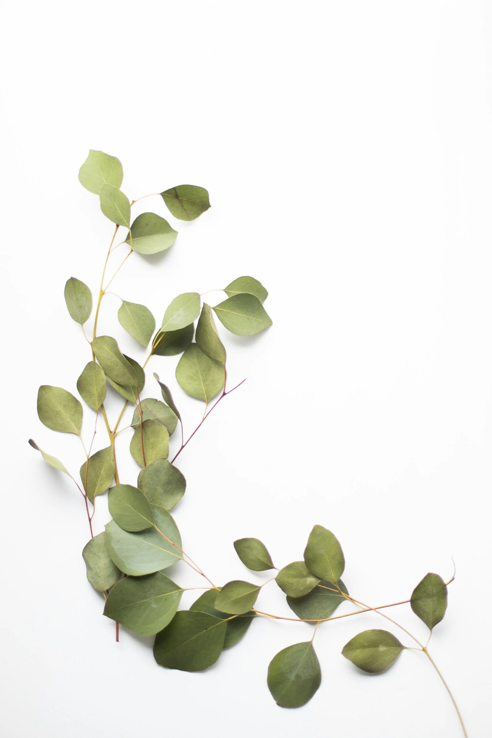 unsplash-image-LGcO26RPdC4.jpg