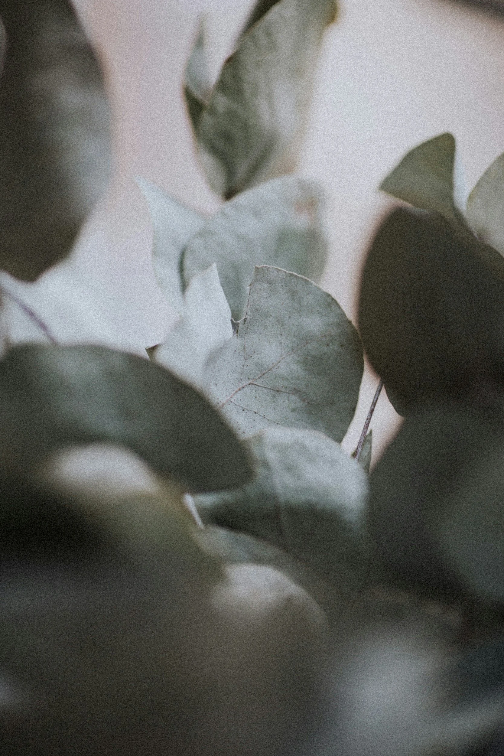 unsplash-image-pZrTs-1cFcc.jpg