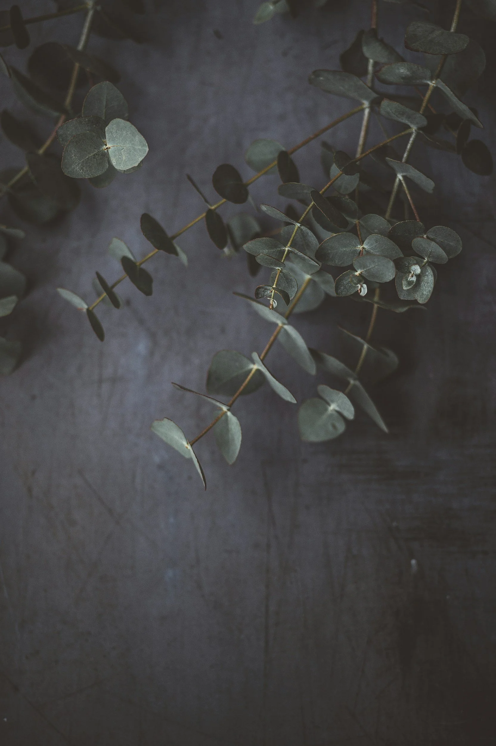unsplash-image-4hW66oUNor0.jpg