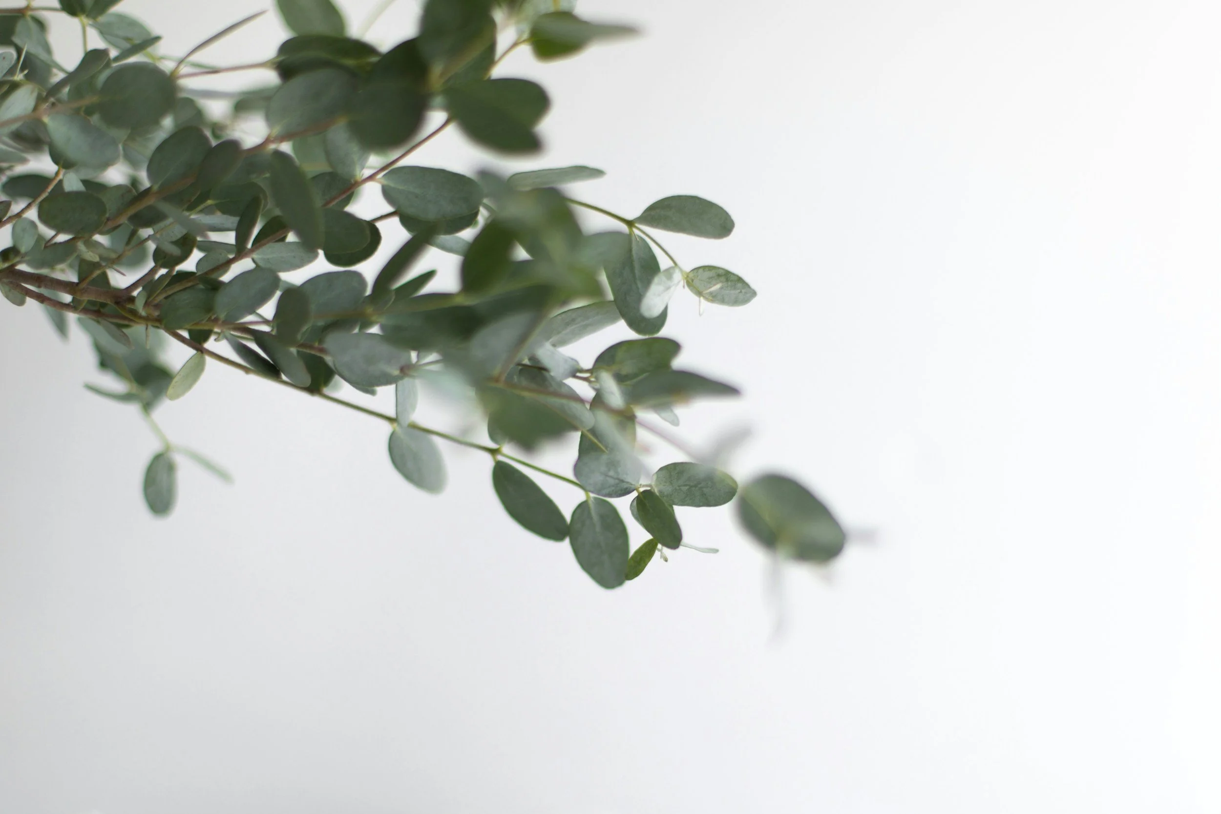 unsplash-image-vFSq5jKgJcY.jpg
