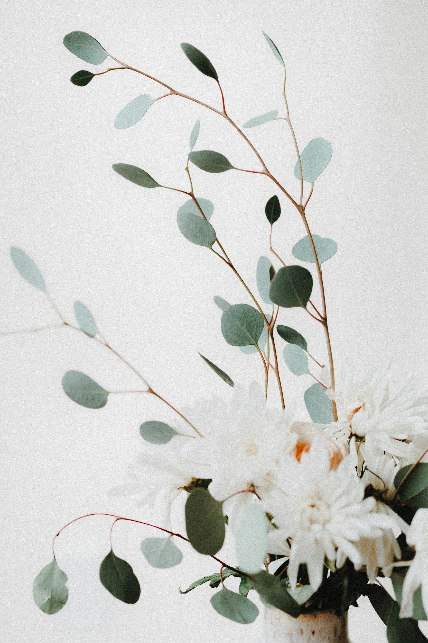 unsplash-image-skXKGiNAcQ8.jpg