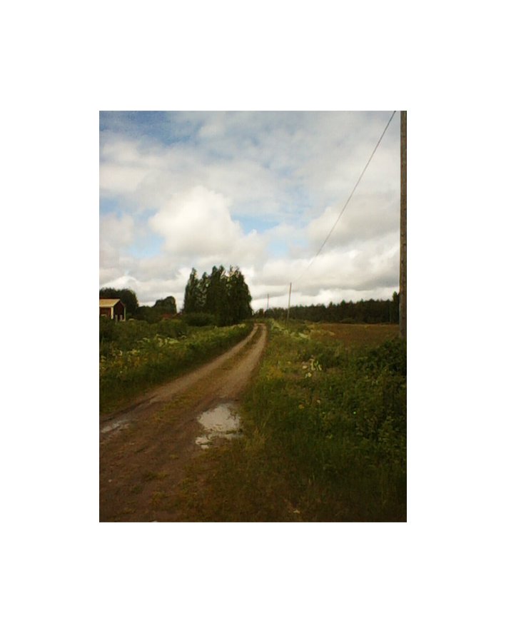Lappi