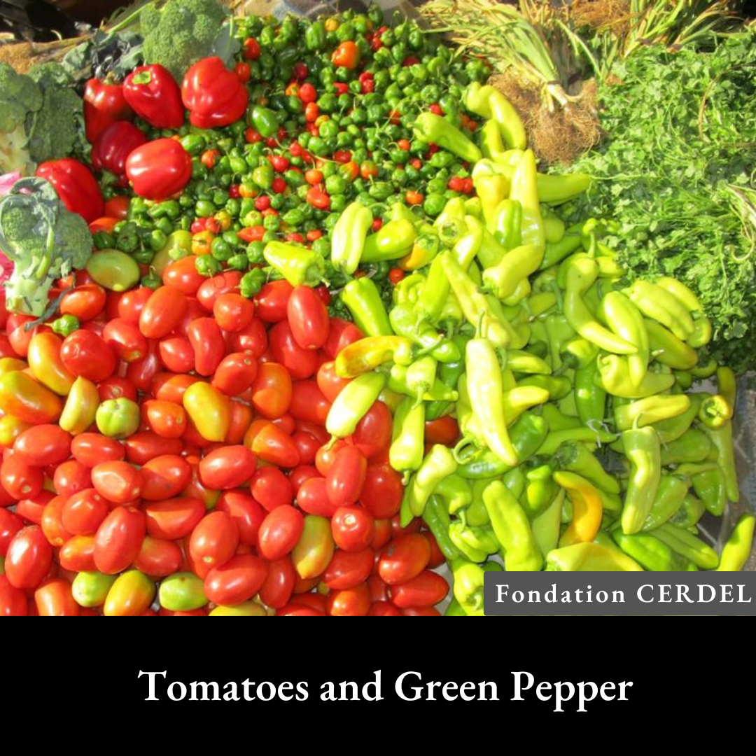 Tomatoes and Green Pepper.png
