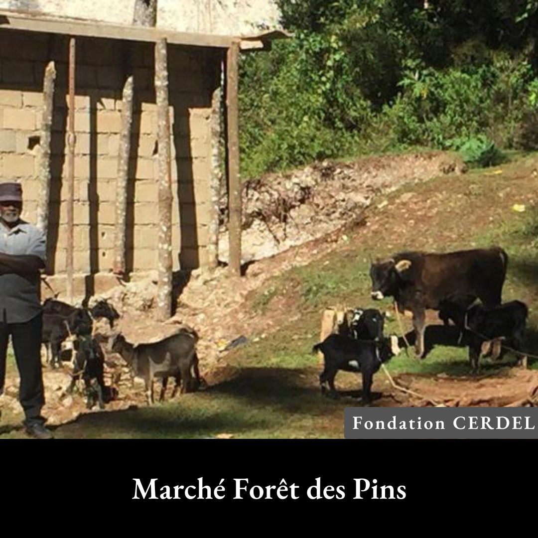 Marché Forêt des Pins.png