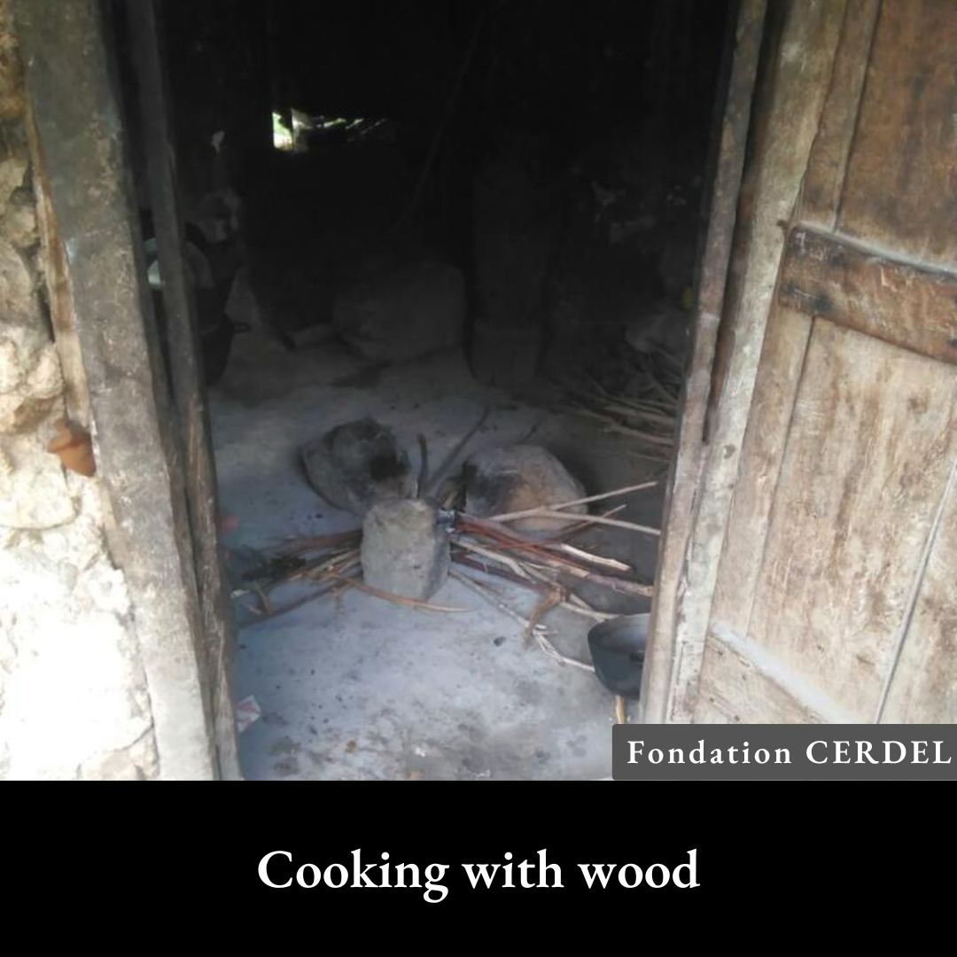 Cooking with wood.png