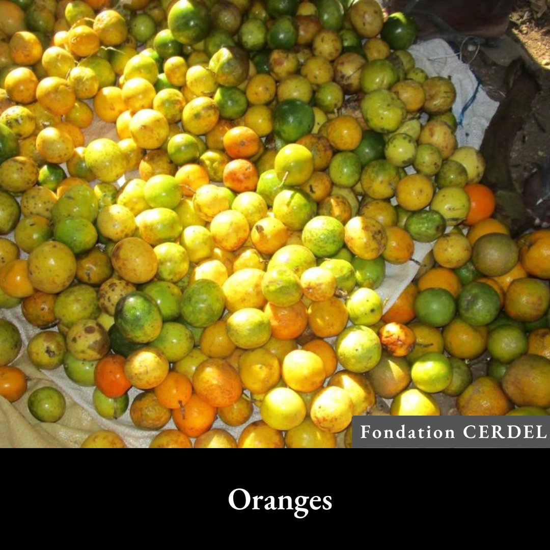 Oranges.png