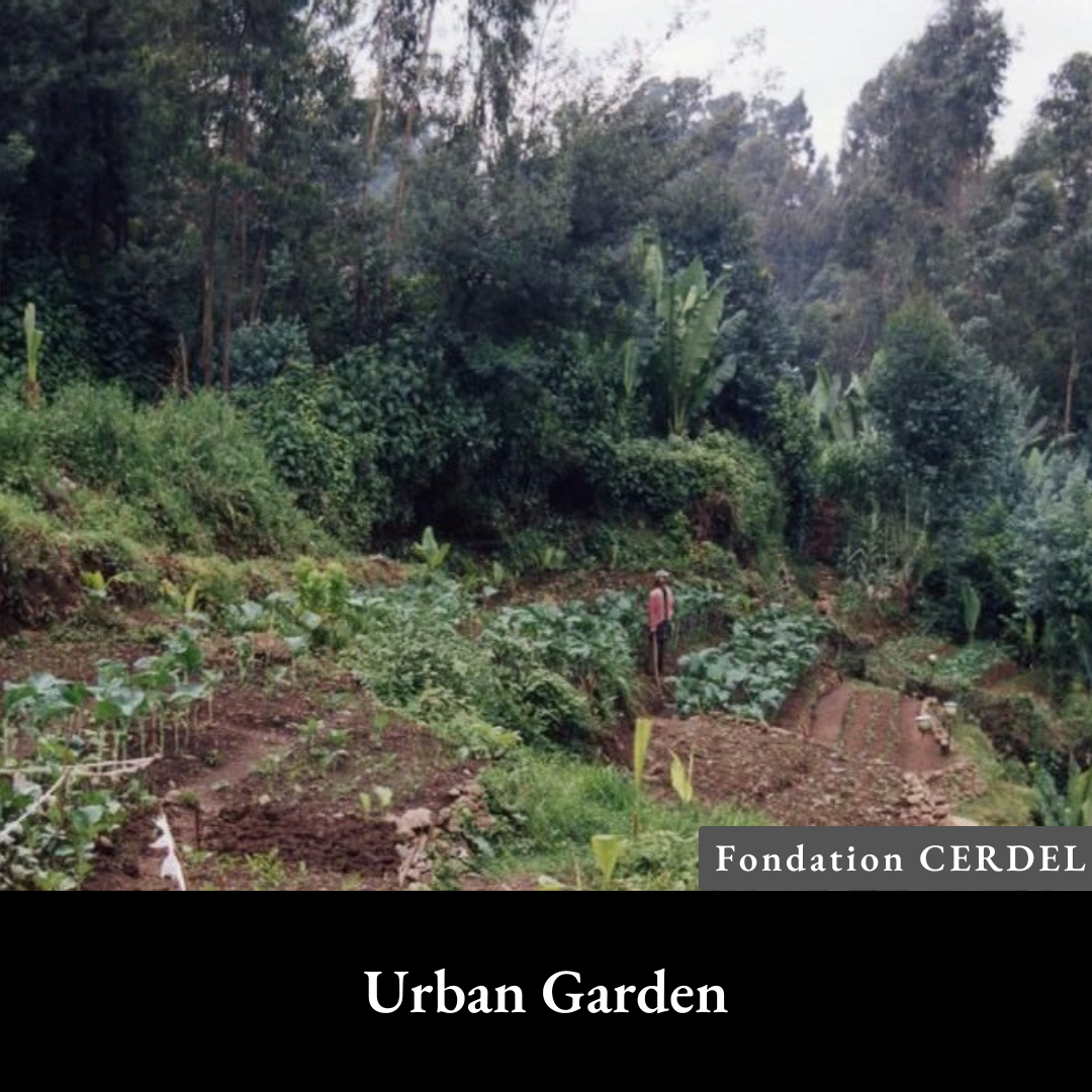 Urban Garden.png
