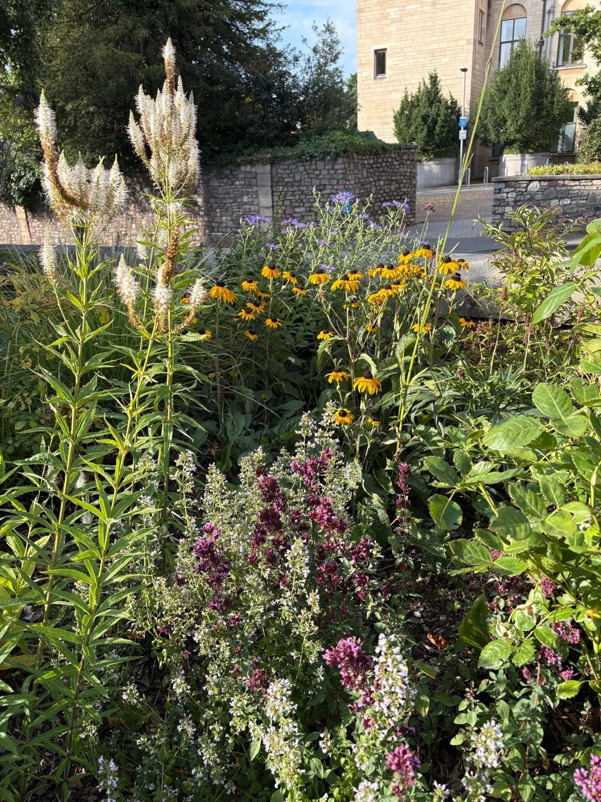 A lush garden with various colorful flowers and green foliage in front of a stone building, with a stone wall and trees in the background, under a clear blue sky.