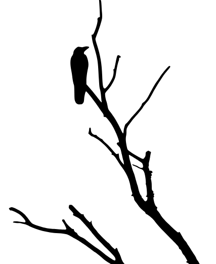 Raven on a tree branch vector