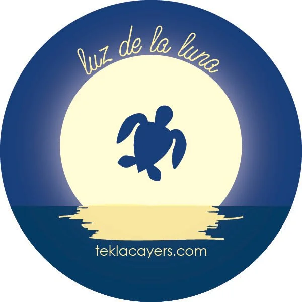 luz de la luna, my original logo, with the light of the full moon reflecting off the ocean and a sea turtle