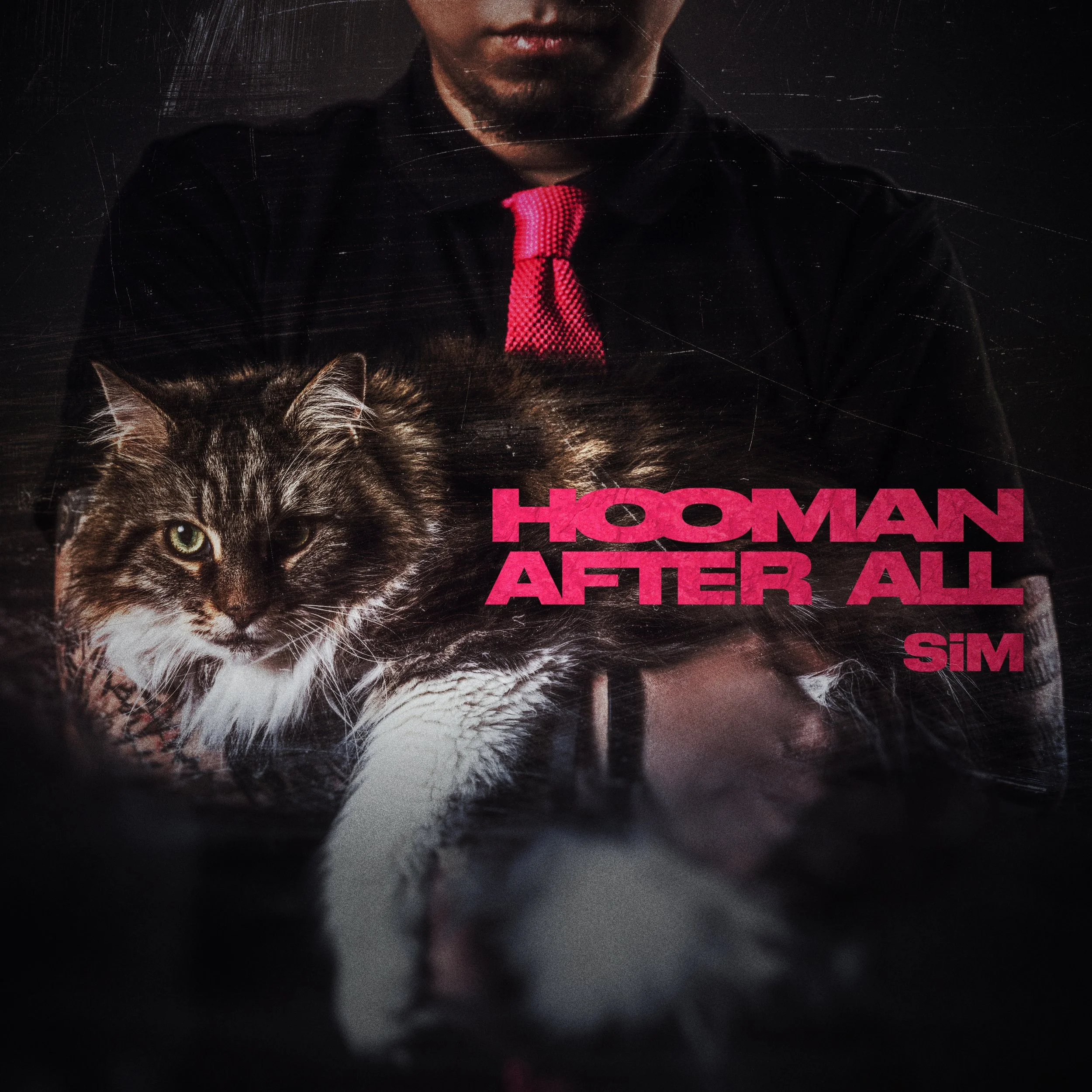 SiM: HOOMAN AFTER ALL