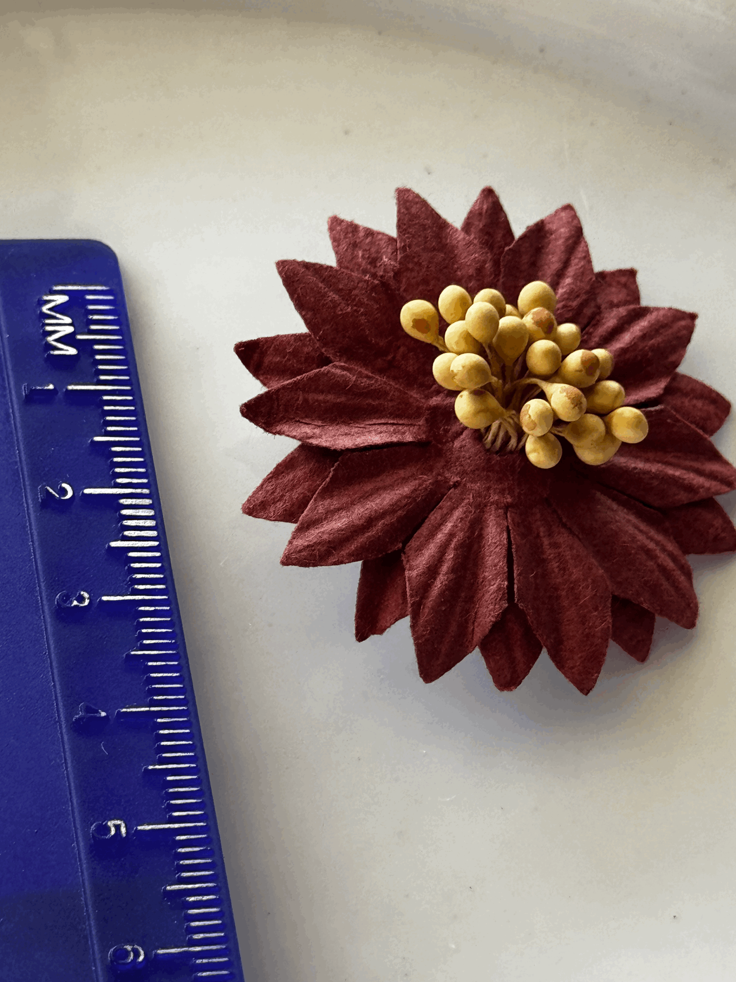 tempImageQg9avF.gif