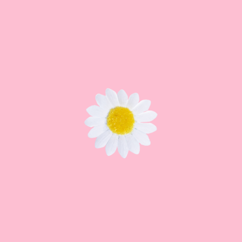 23.png