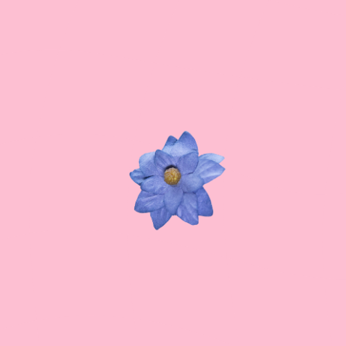 46.png