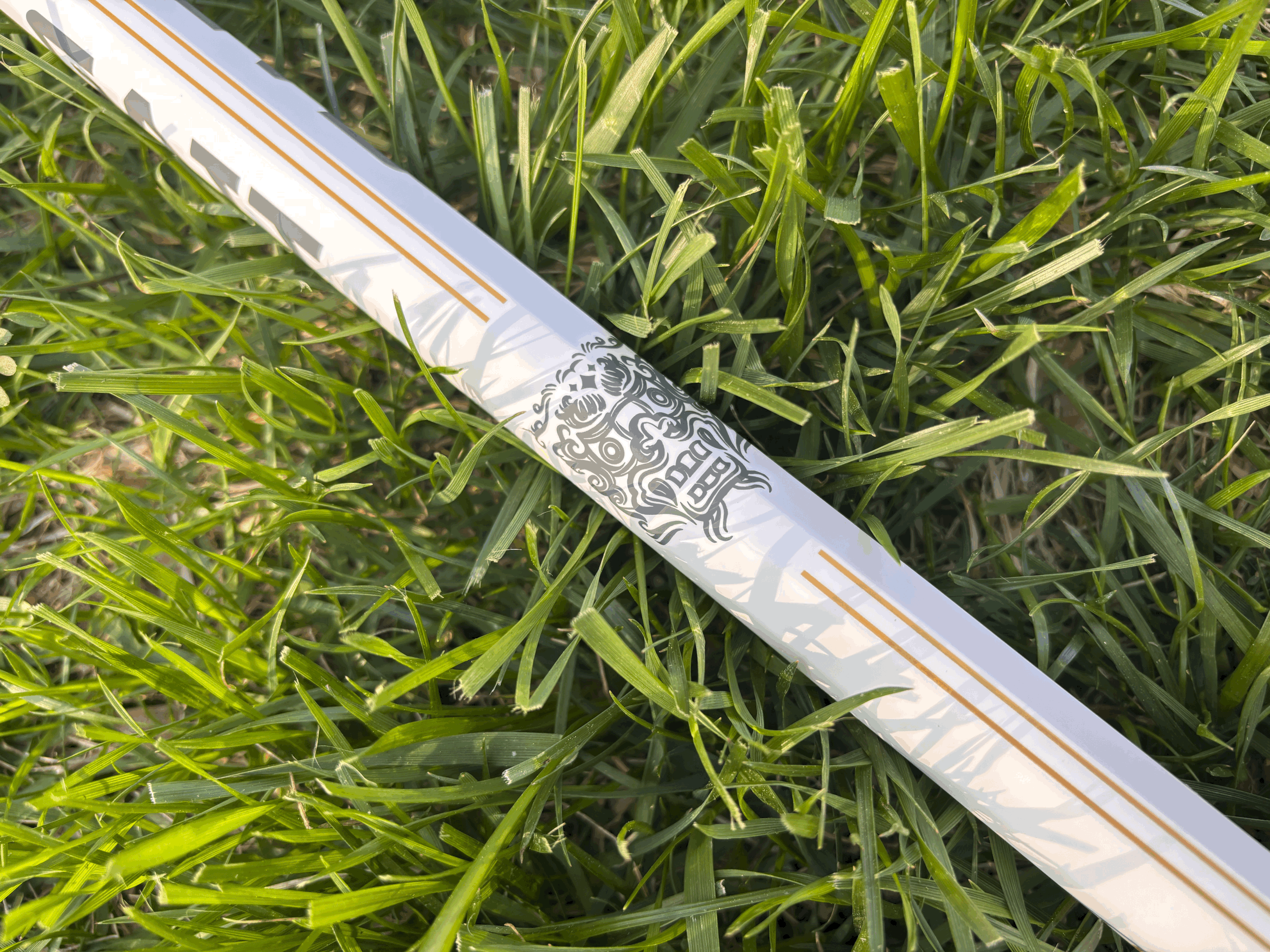 tempImageFV7b8z.gif (Copy)