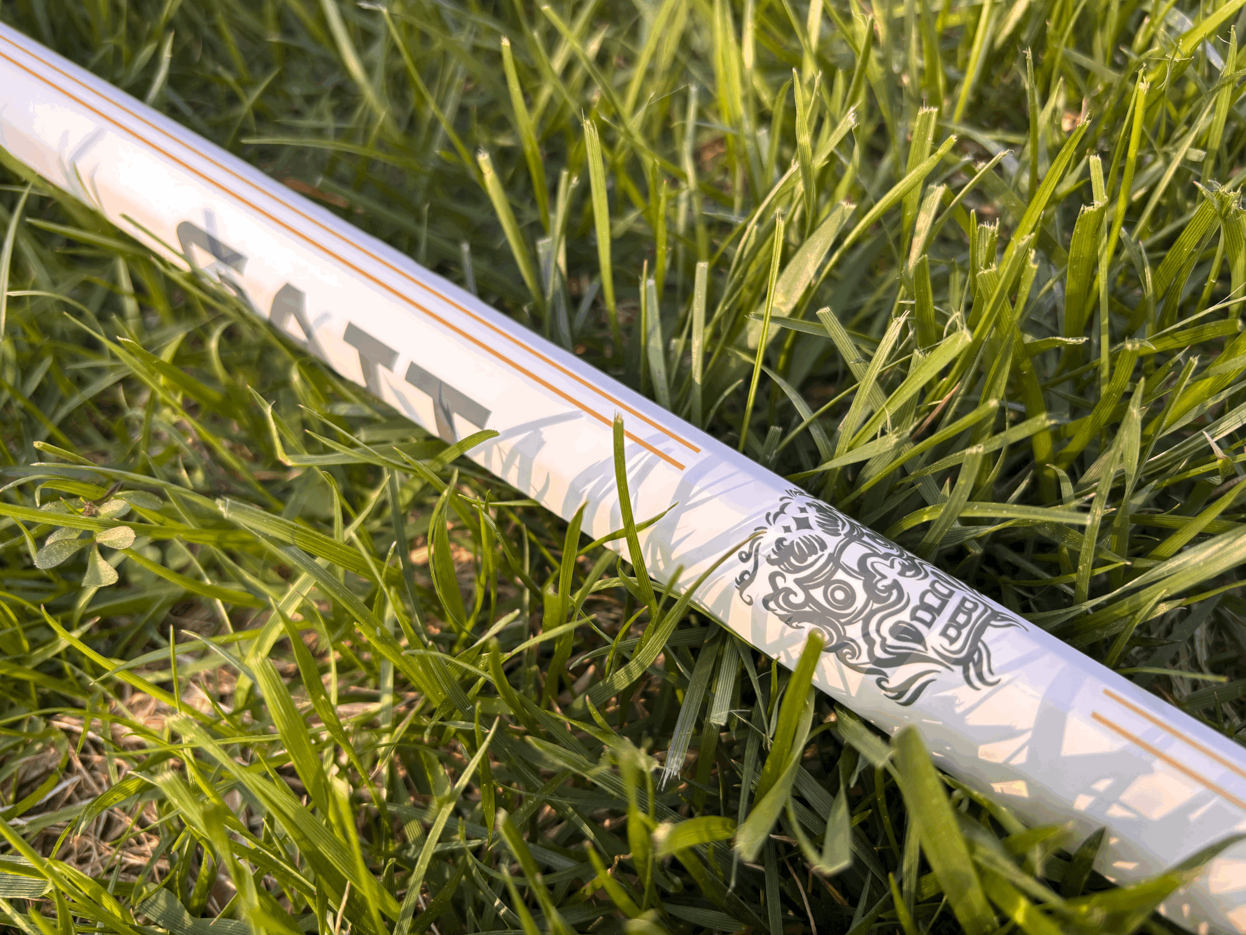 tempImageqZaIVD.gif (Copy)