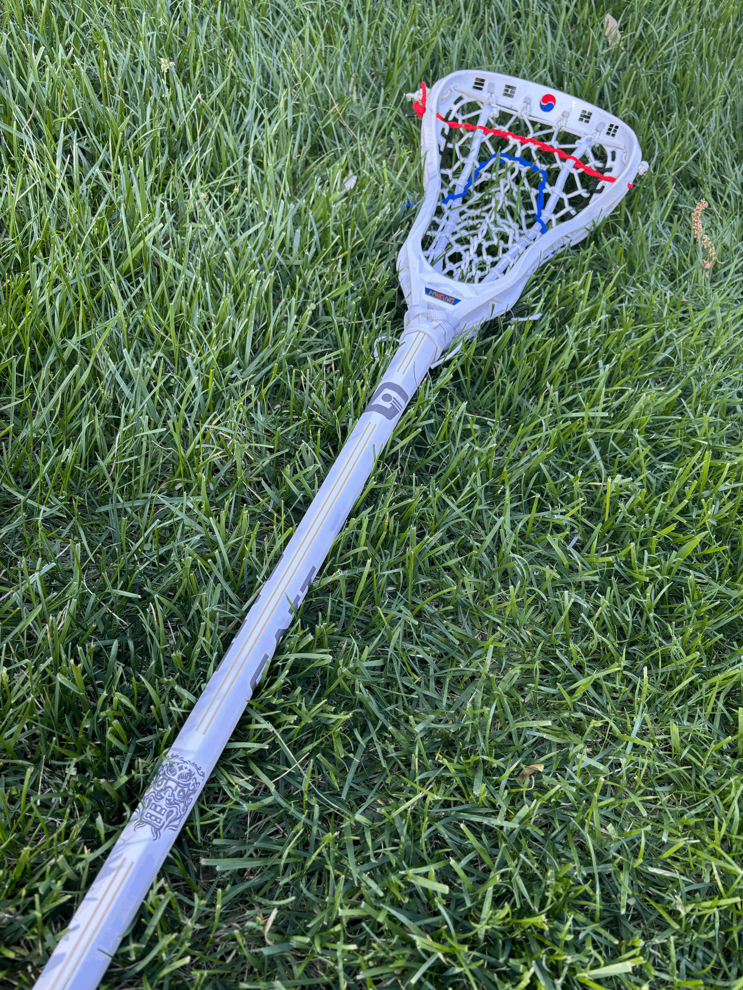 tempImageXH6QRE.gif (Copy)