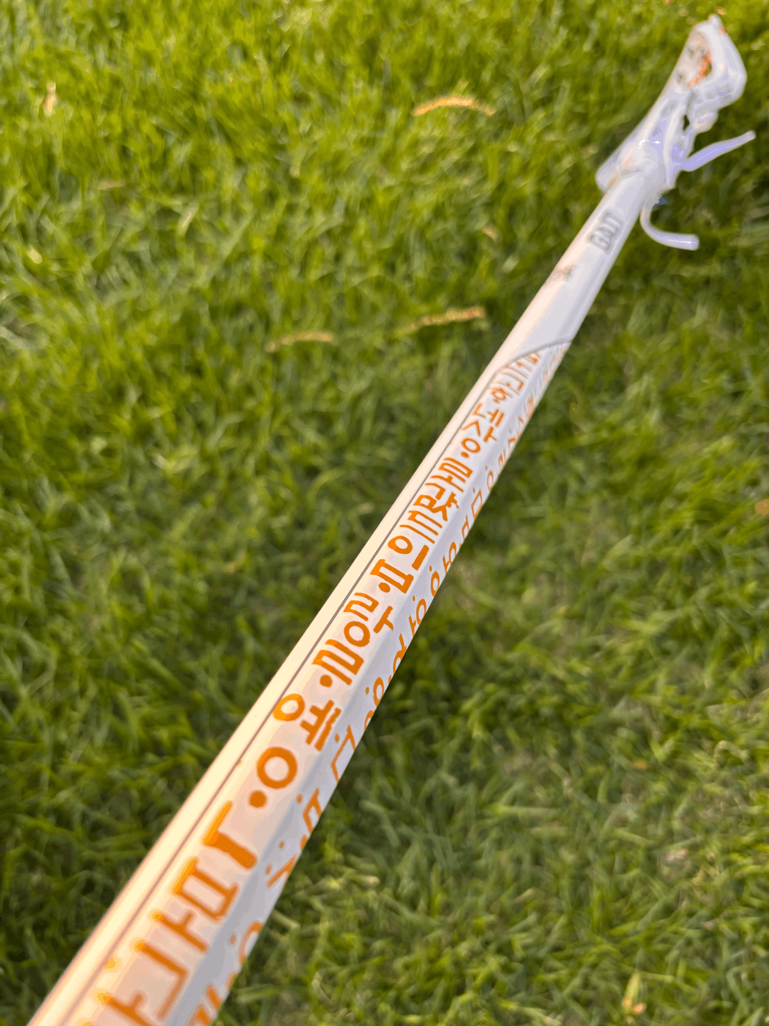 tempImageAzbDkm.gif (Copy)