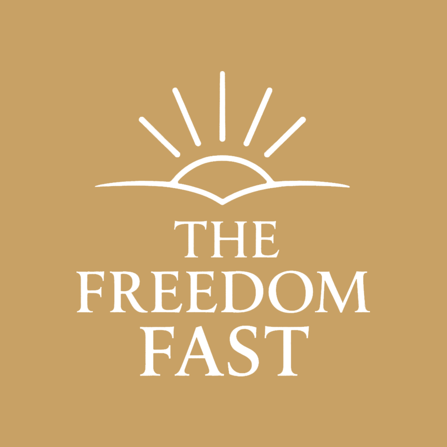 Logo with a stylized sunrise over a horizon and the text "The Freedom Fast".
