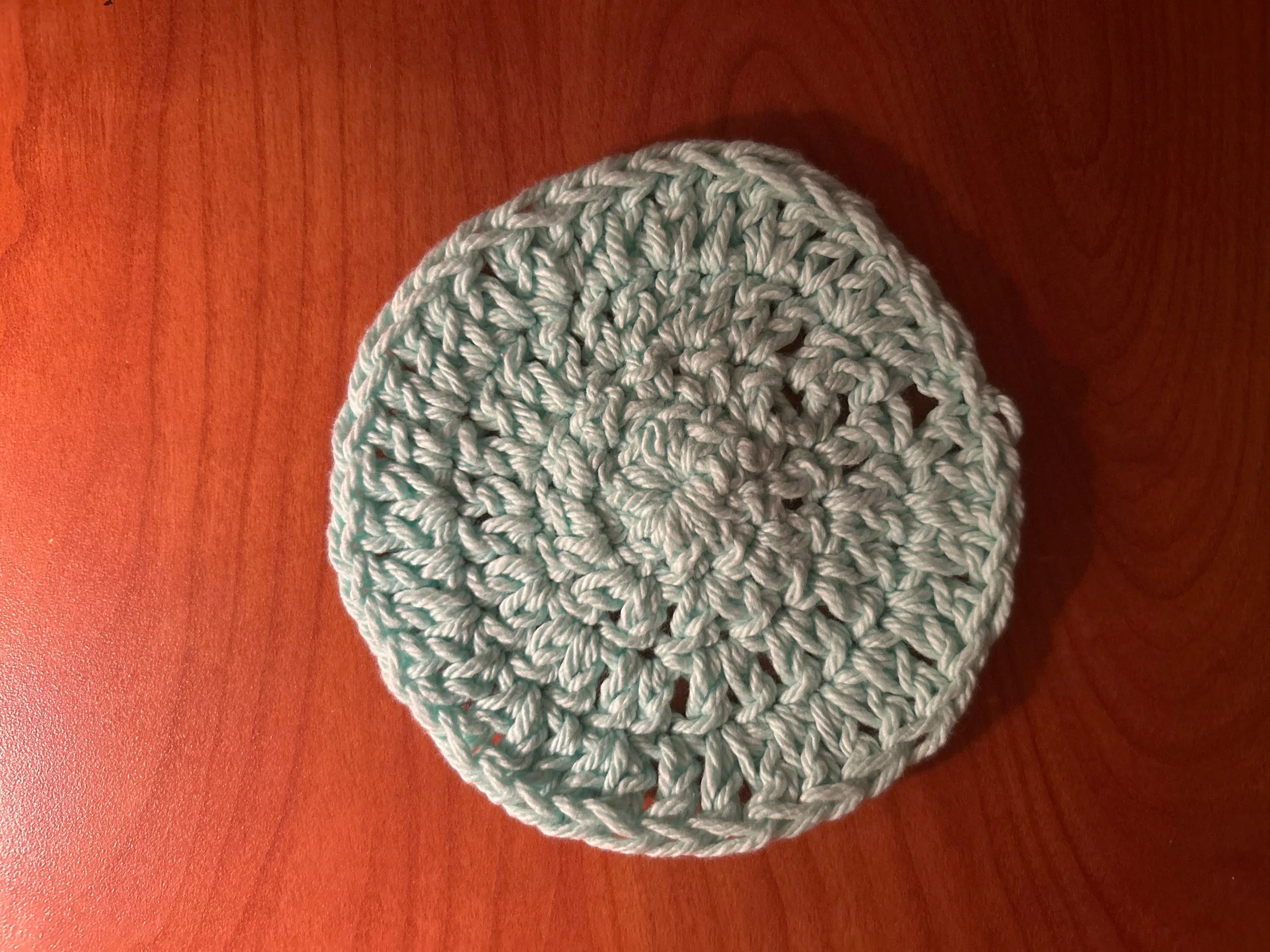 Flat Circle coaster.JPG