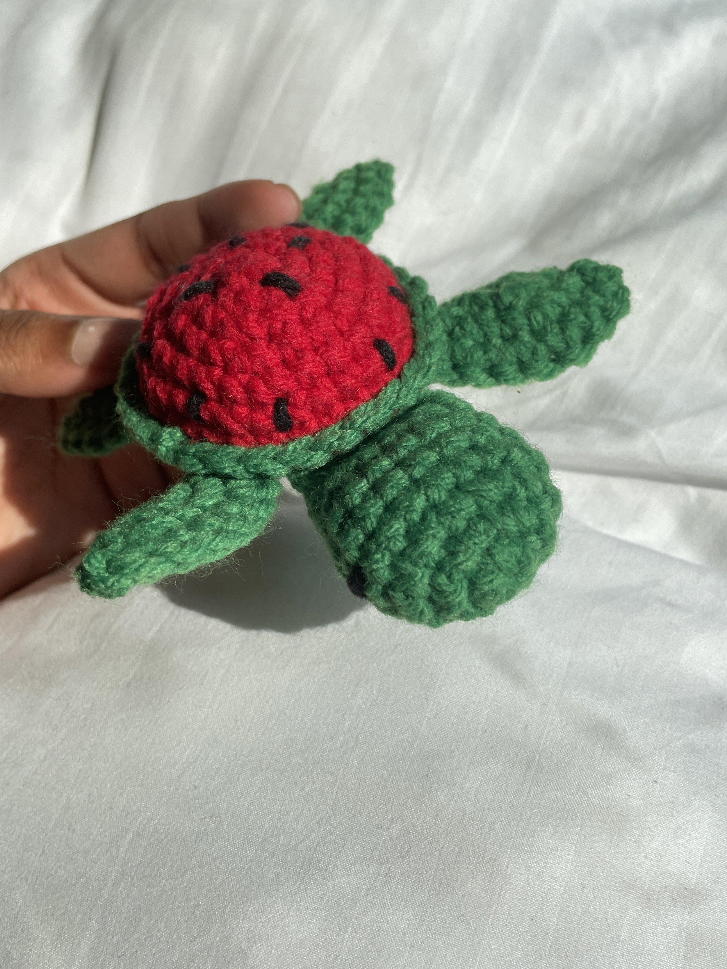 watermelon turtle.JPG