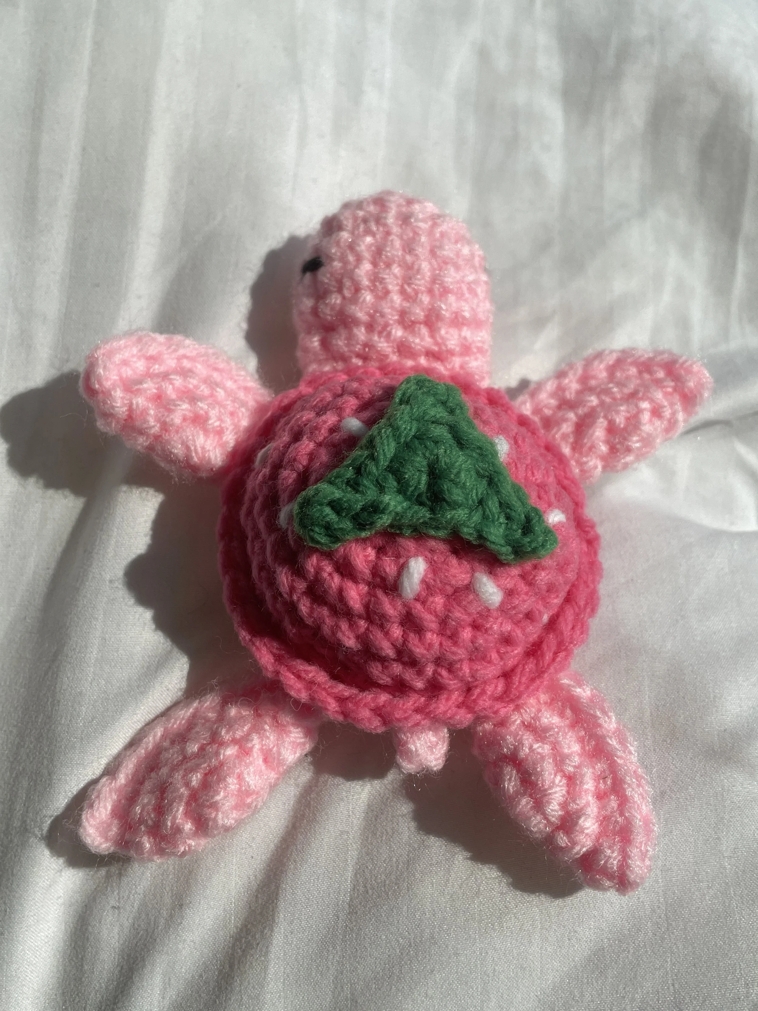 strawberry turtle.JPG