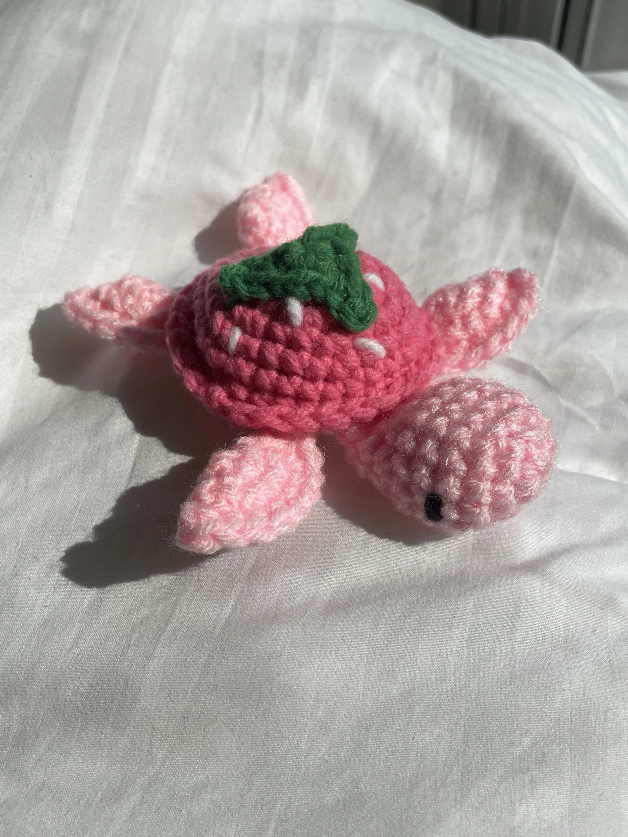 strawberry turt.JPG