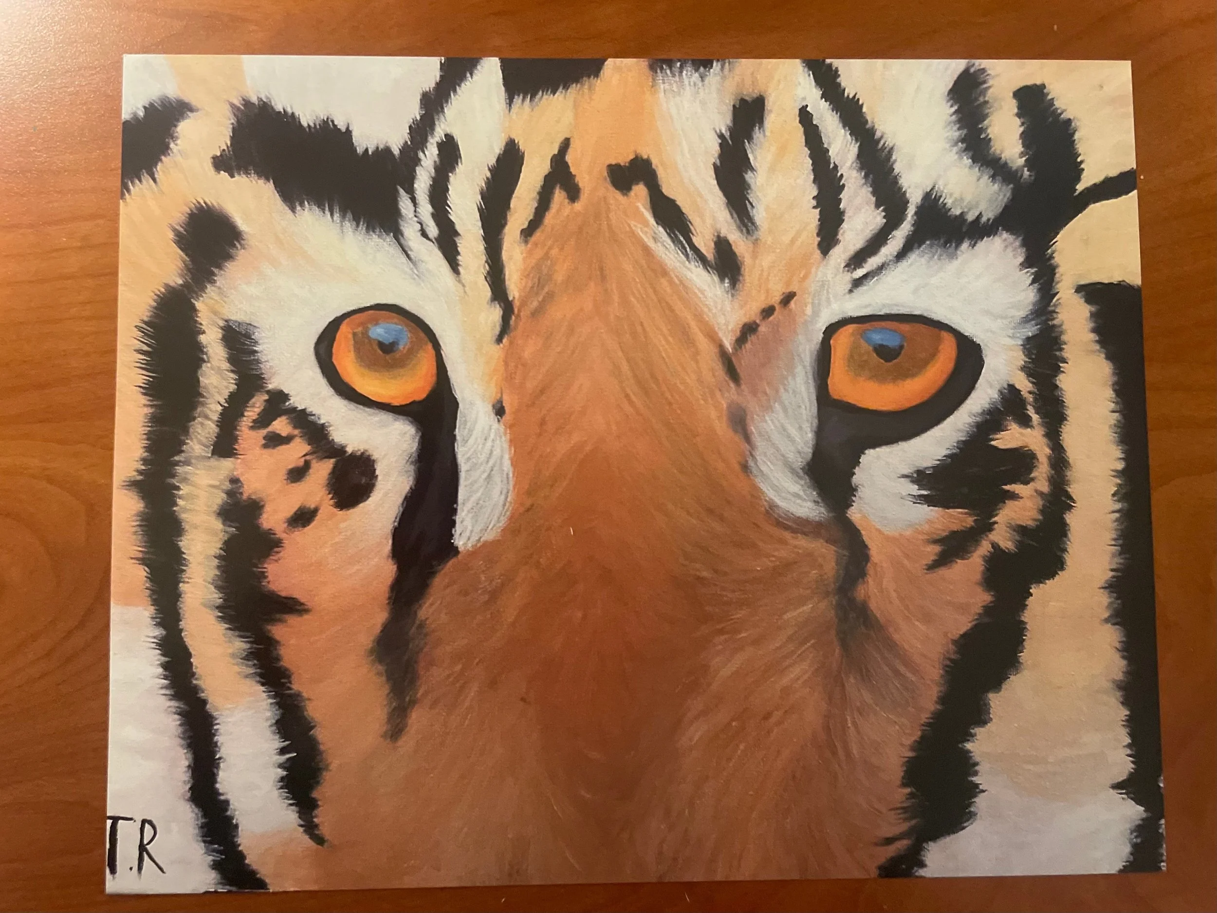 Eyes of the tiger art print.JPG