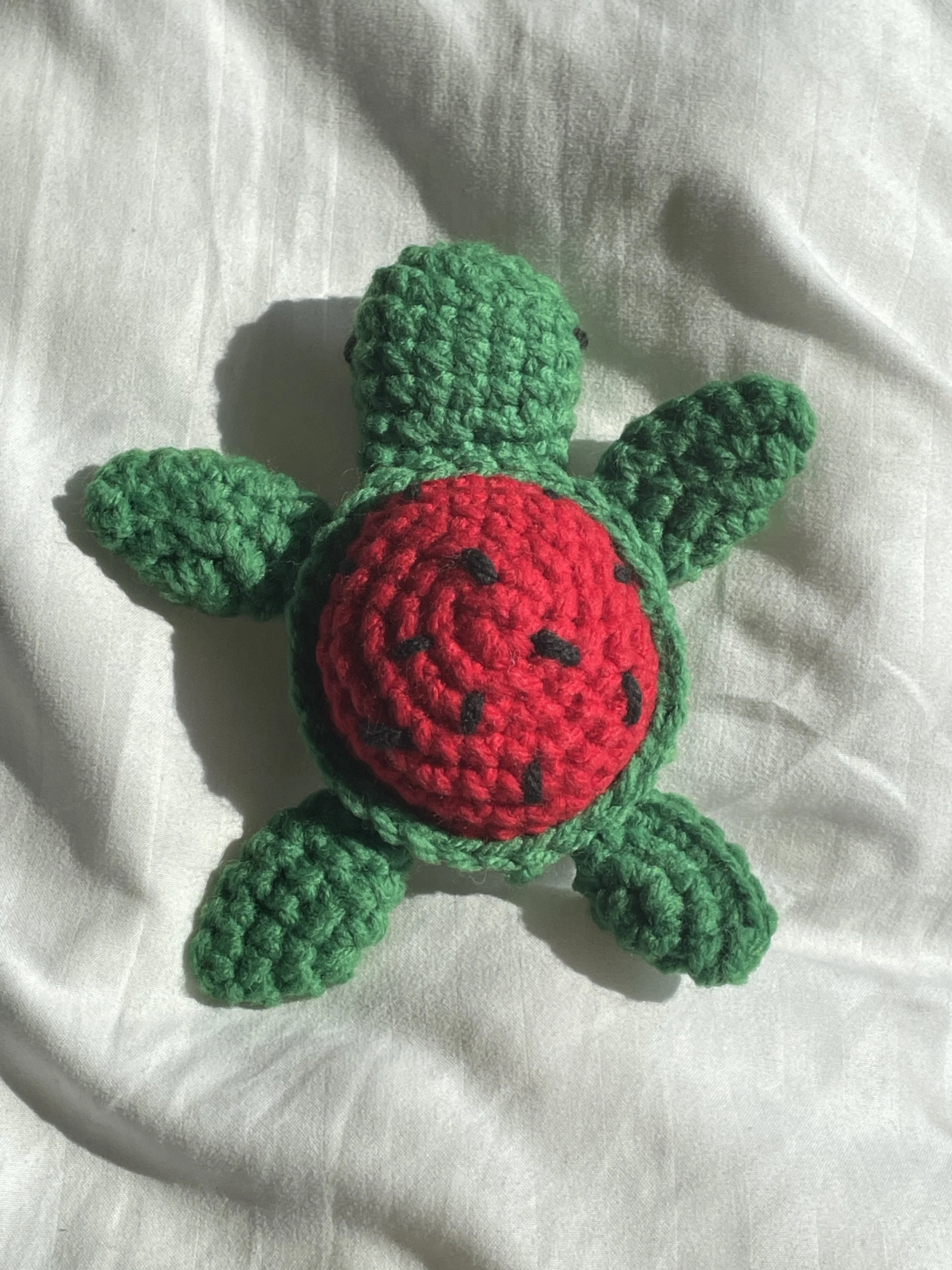 watermelon turt.JPG