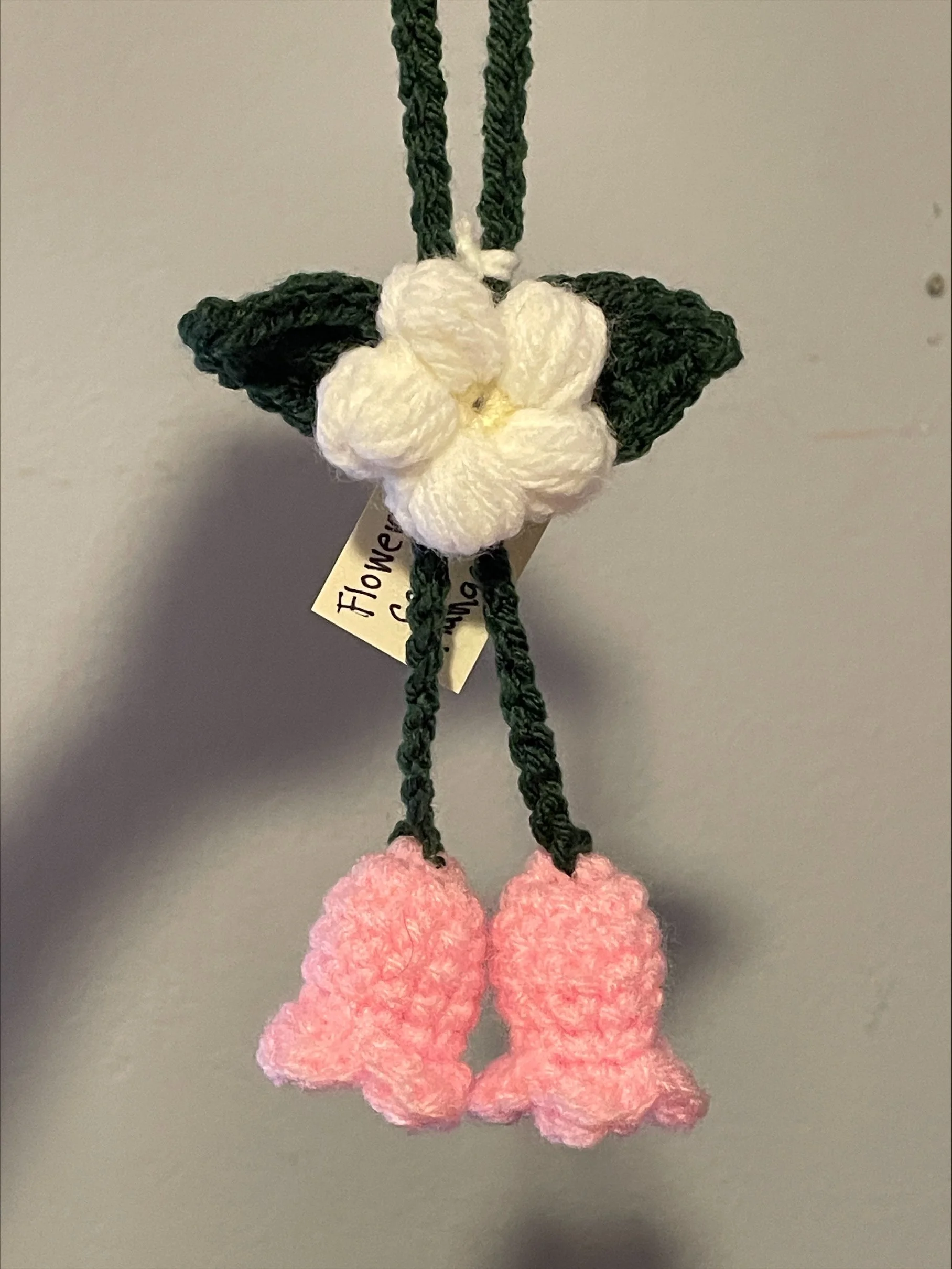 pink car hanging.jpeg