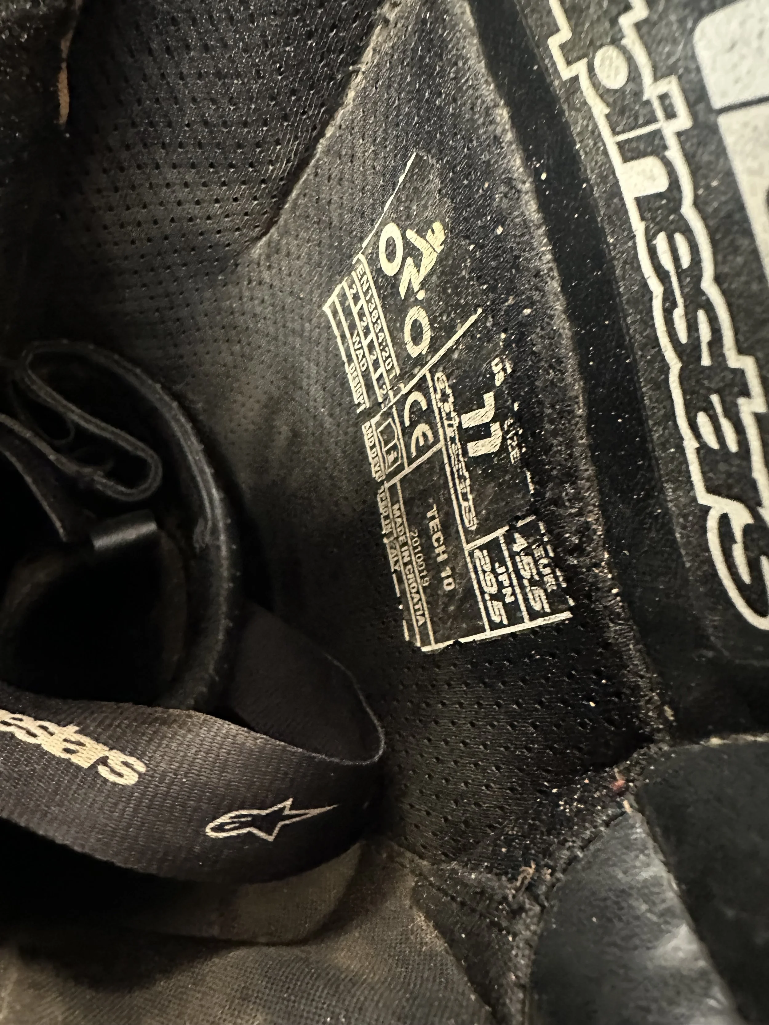 IMG_7636.jpeg