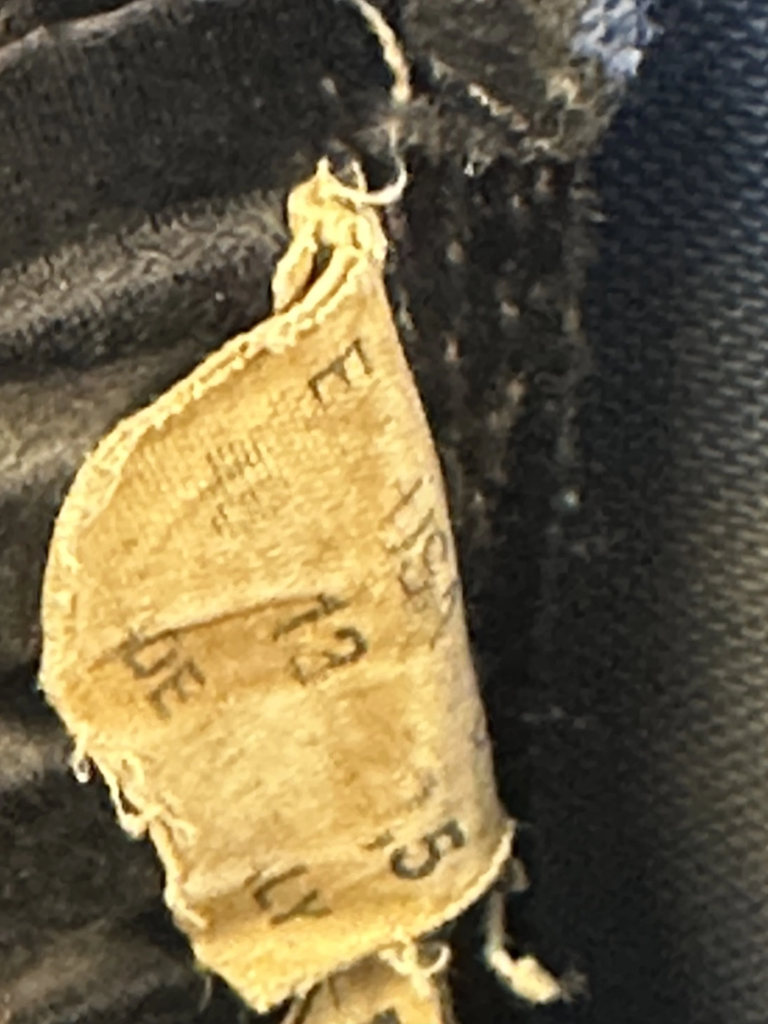 IMG_8101.jpeg