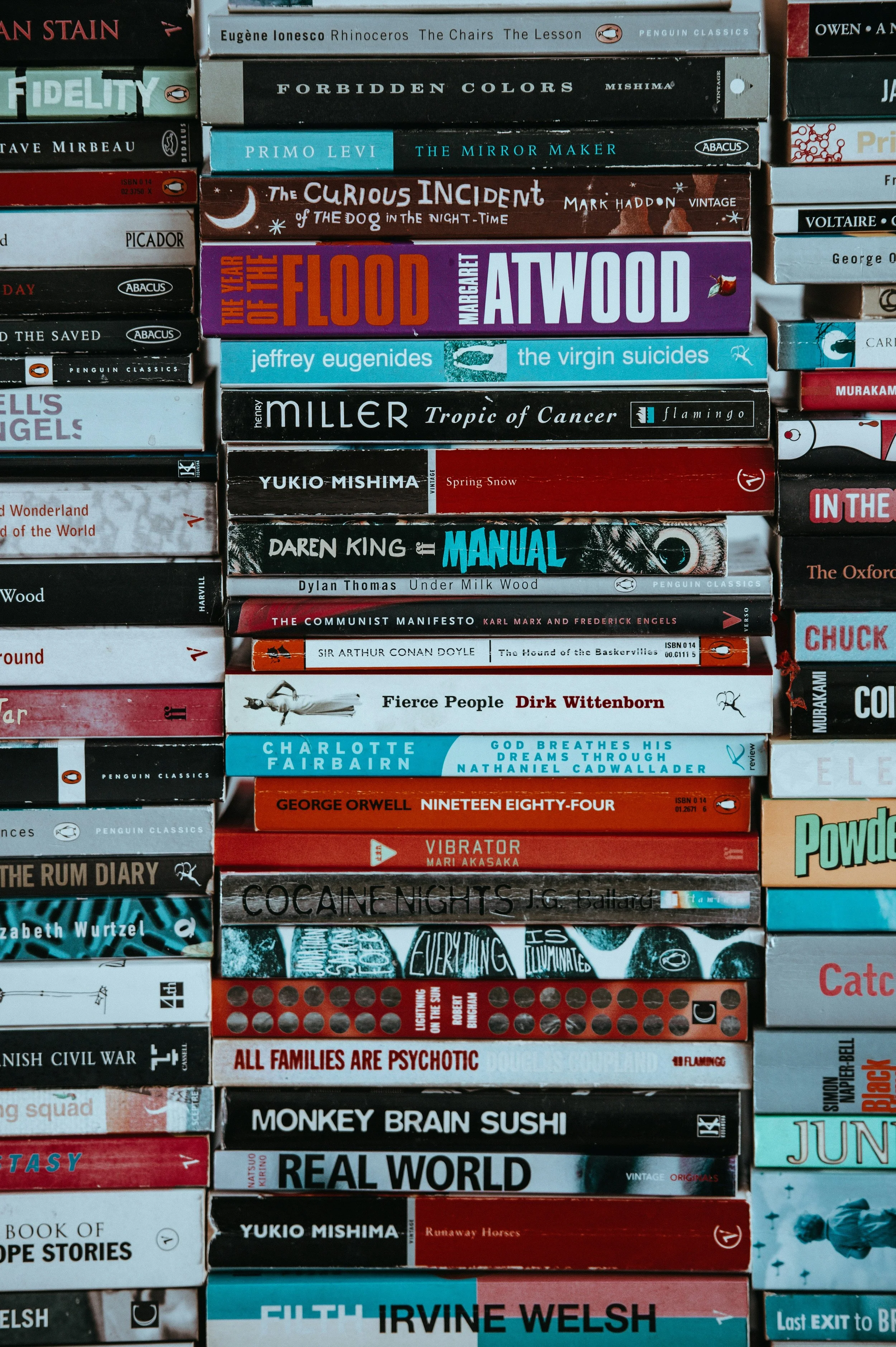 A Journey Through the NYT  100 Best Books of the 21st Century