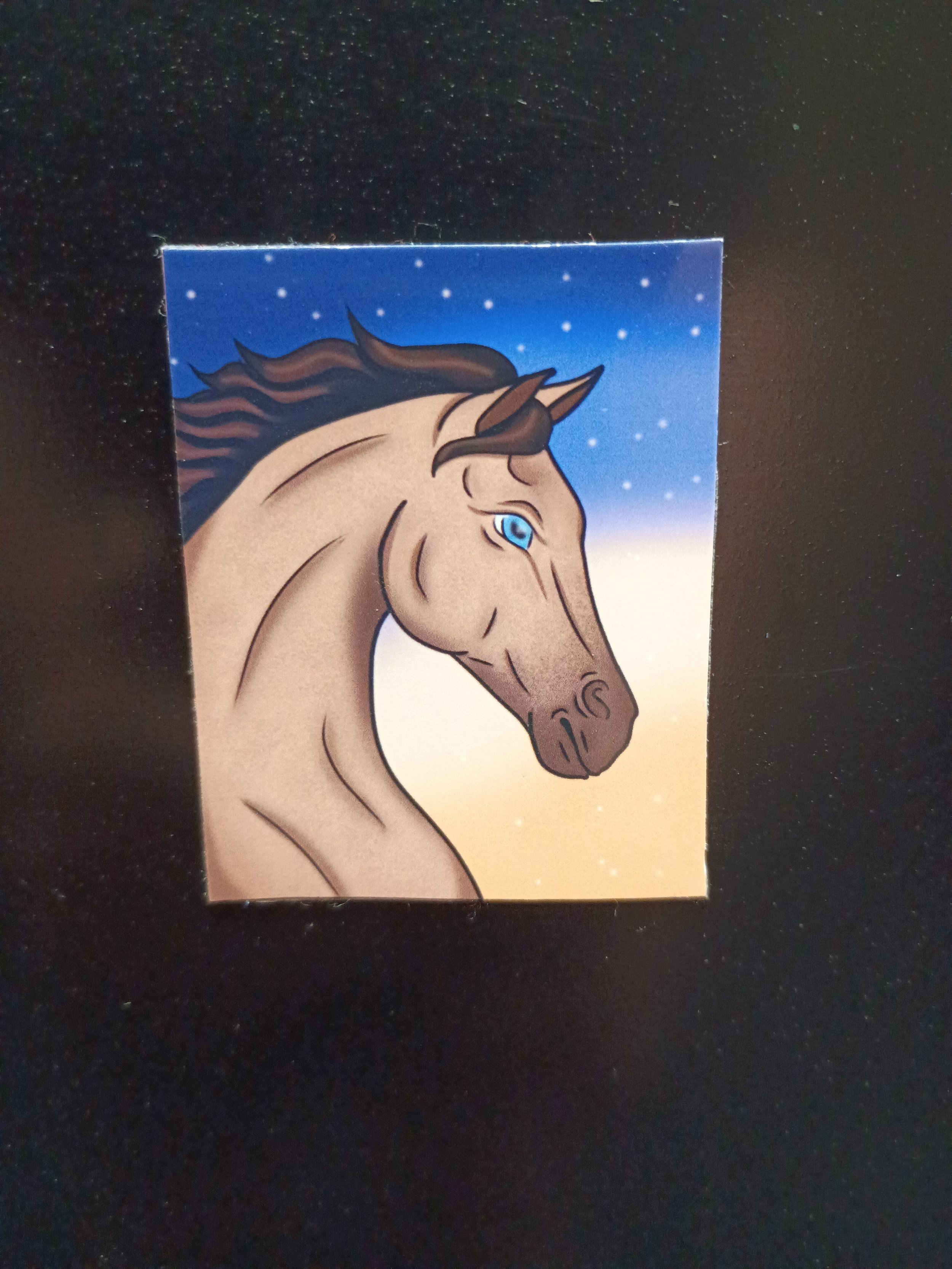 mini magnet _horse star_.jpg