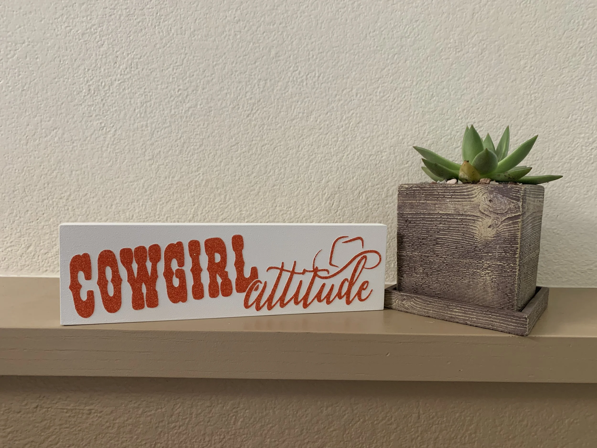 Cowgirl Attitude 4_x12_ Wood Sign_White and Orange.JPG
