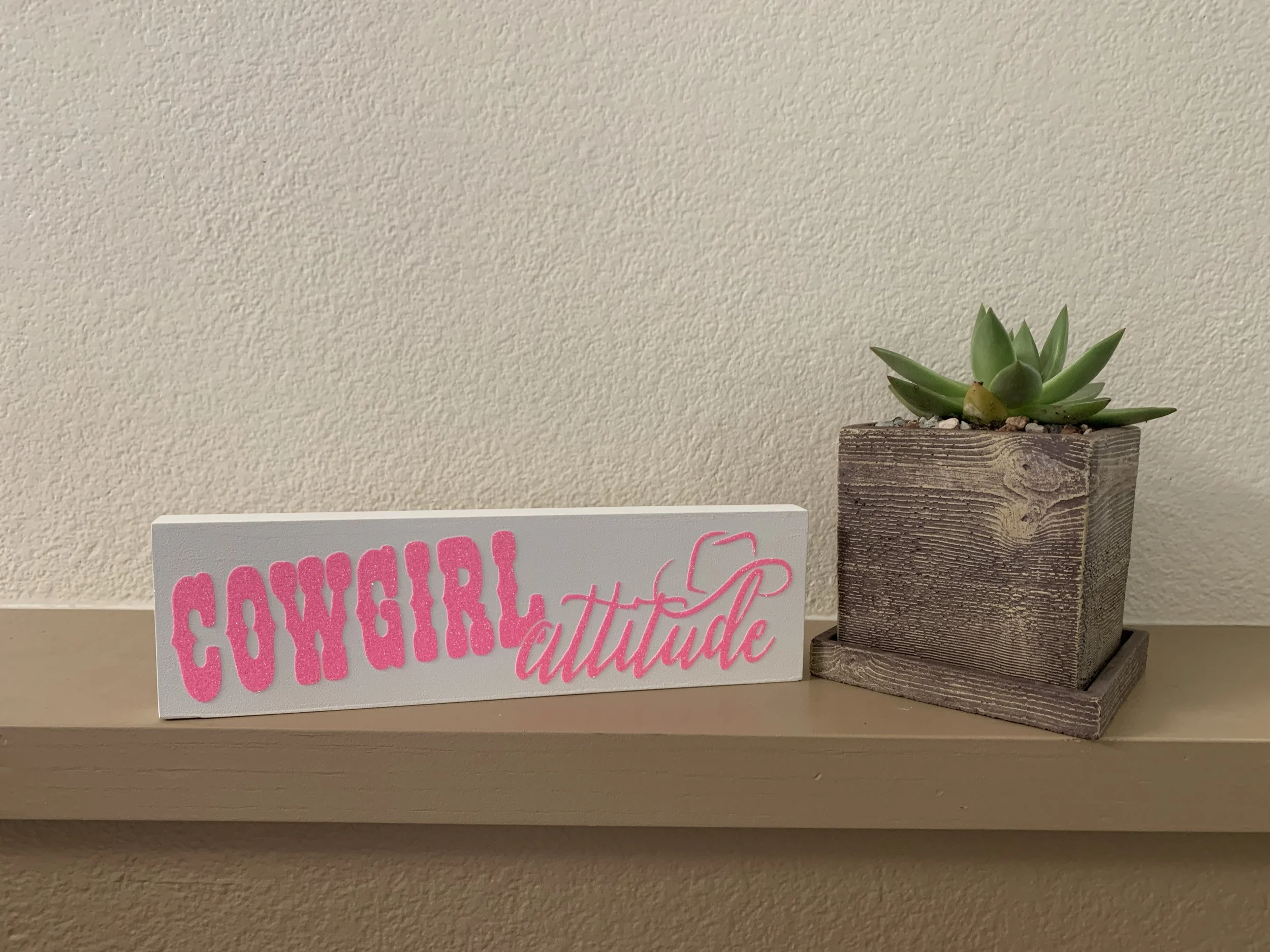 Cowgirl Attitude 4_x12_ Wood Sign_White and Pink.JPG