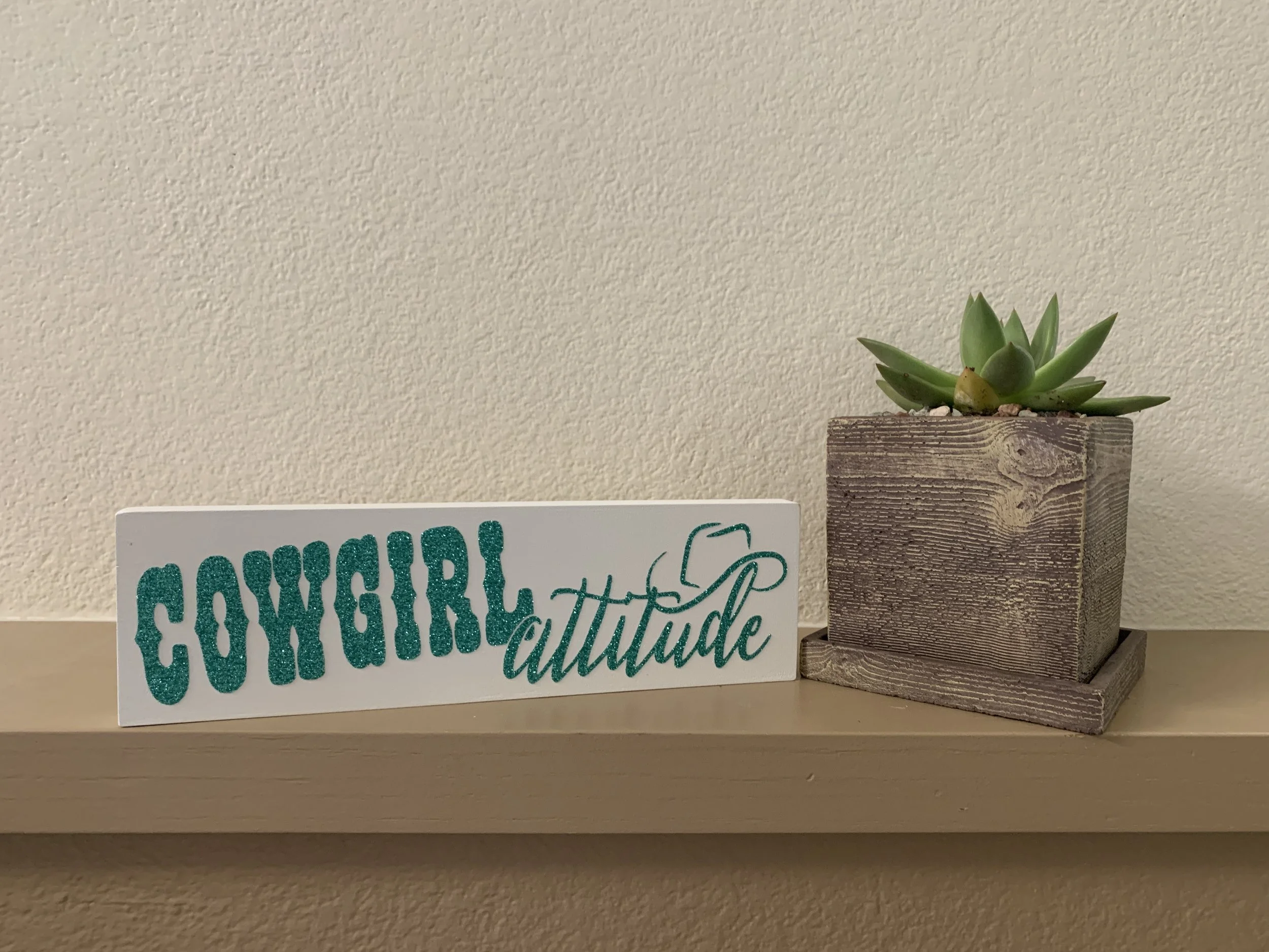 Cowgirl Attitude 4_x12_ Wood Sign_White and Teal.JPG