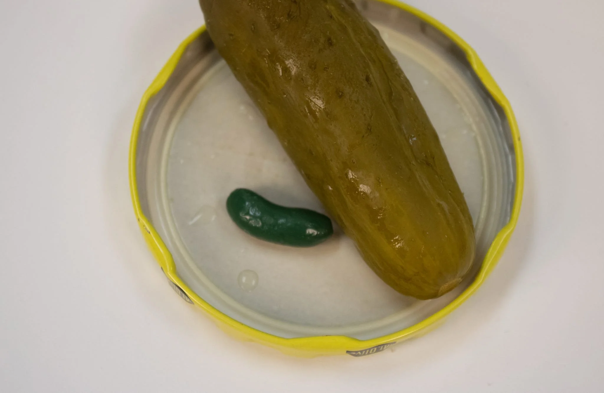 PICKLE MAGNET