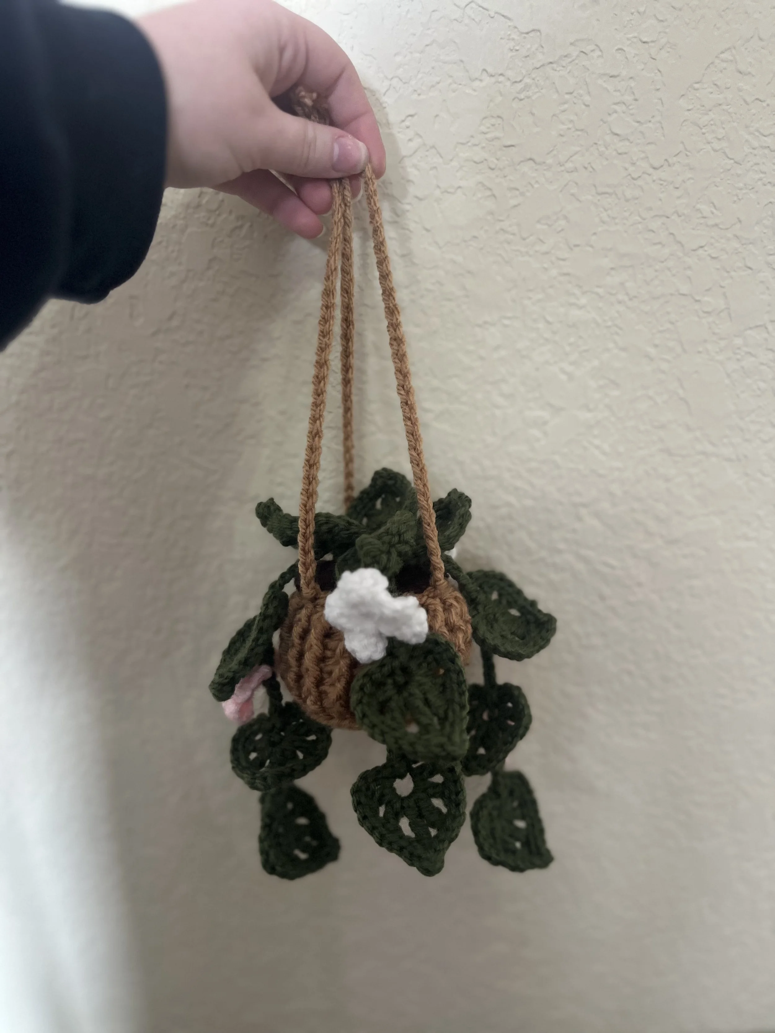 Crochet hanging plant.jpg