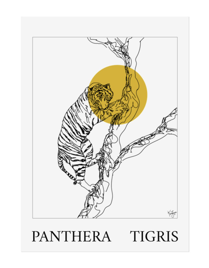 panthera_tigris.png