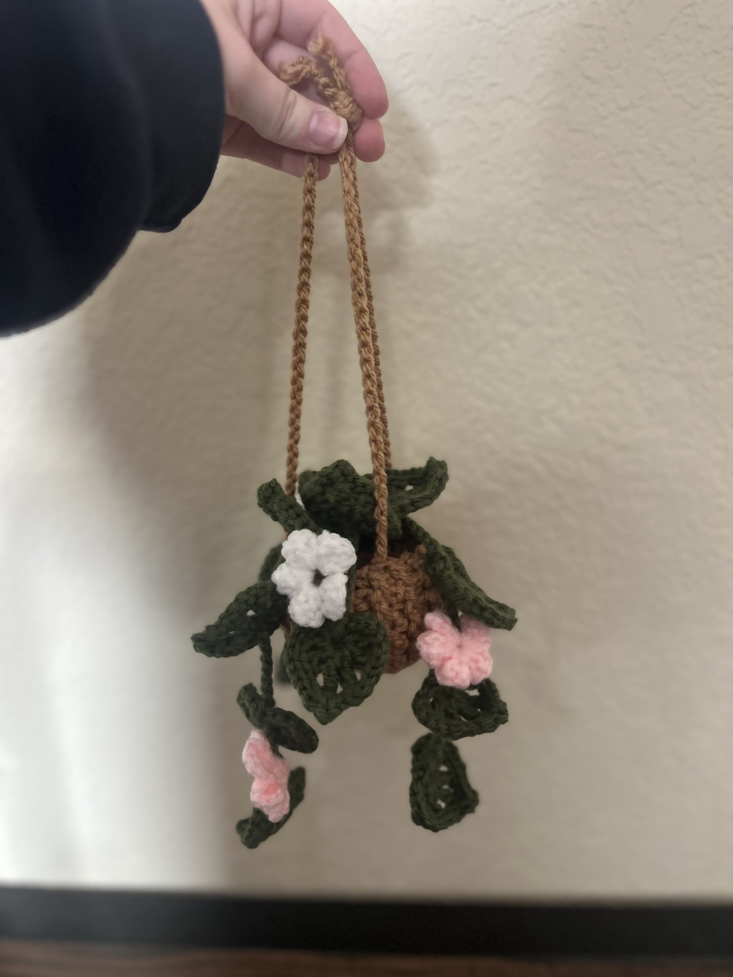 CROCHET HANGING PLANT