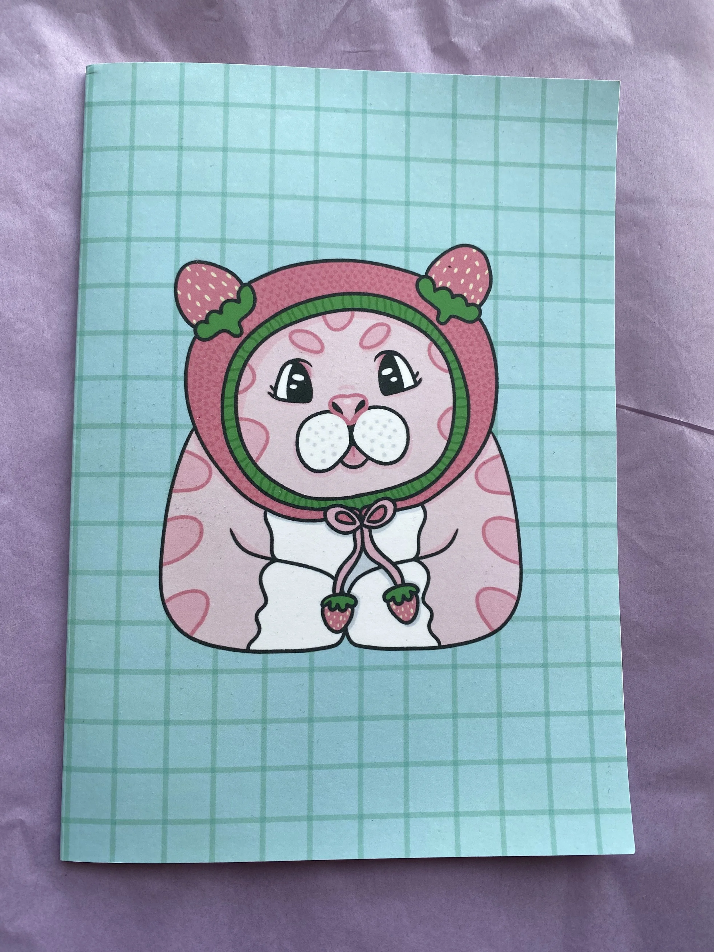 StrawberryCat_Front_Journal.jpeg