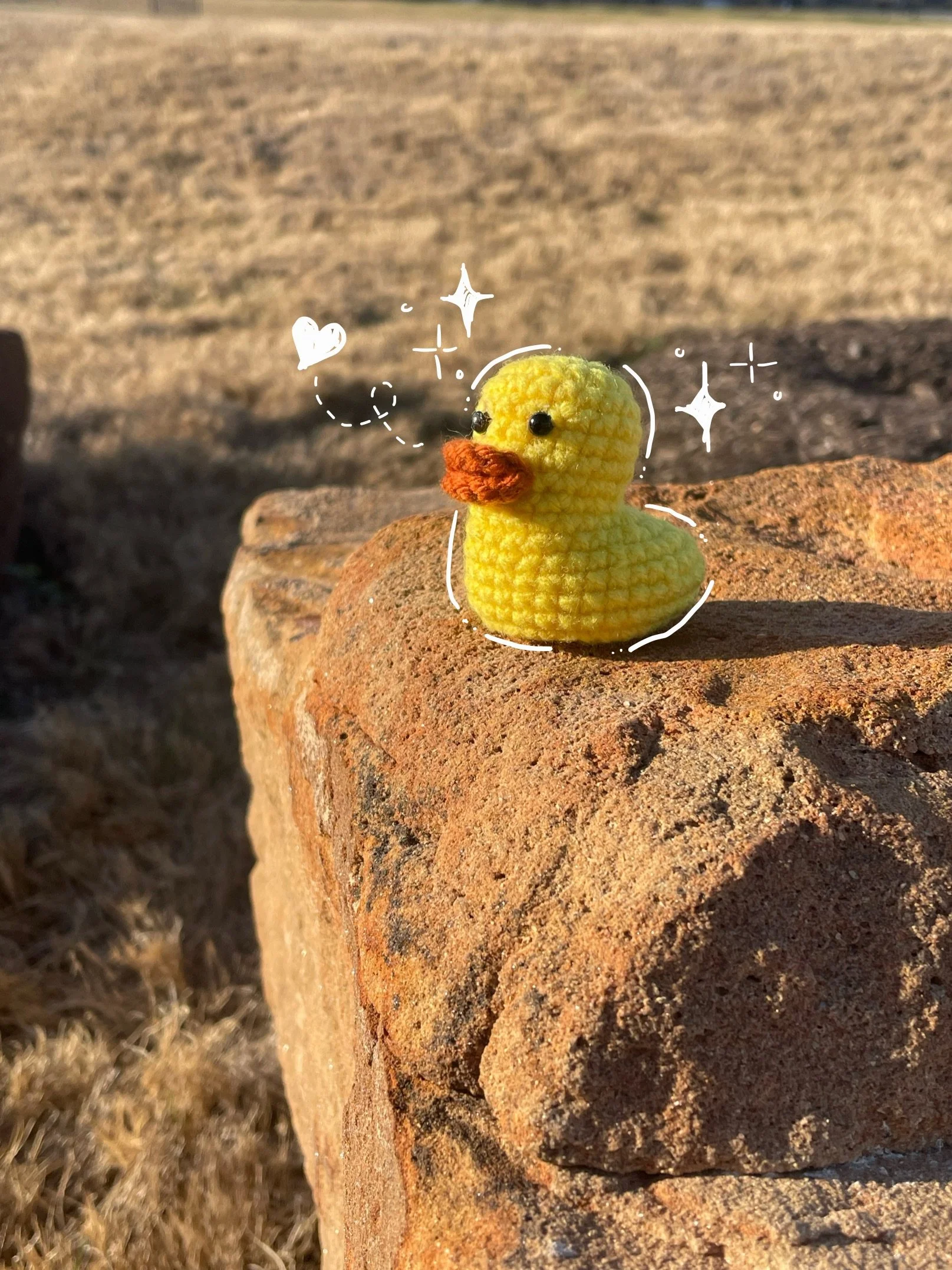 rubber duck_!edited.JPG