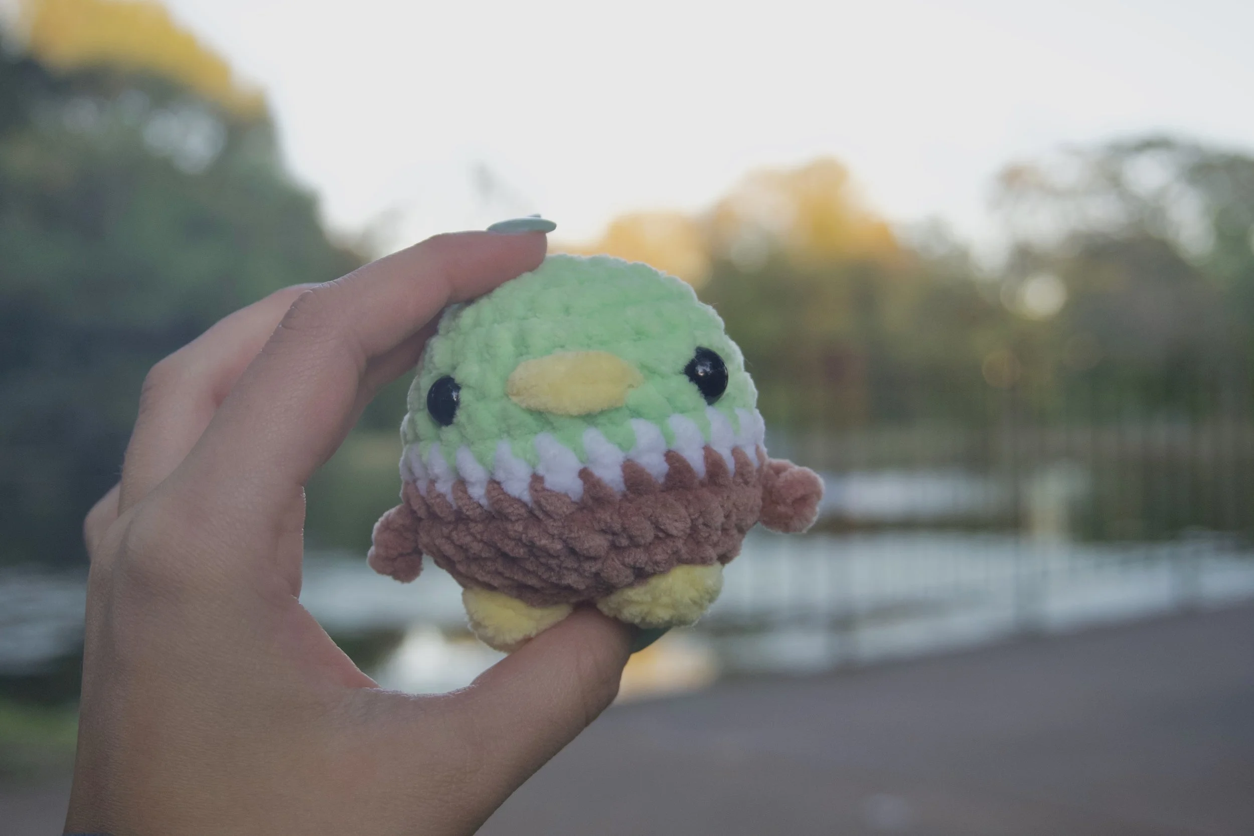 mallard duck plushie.jpeg