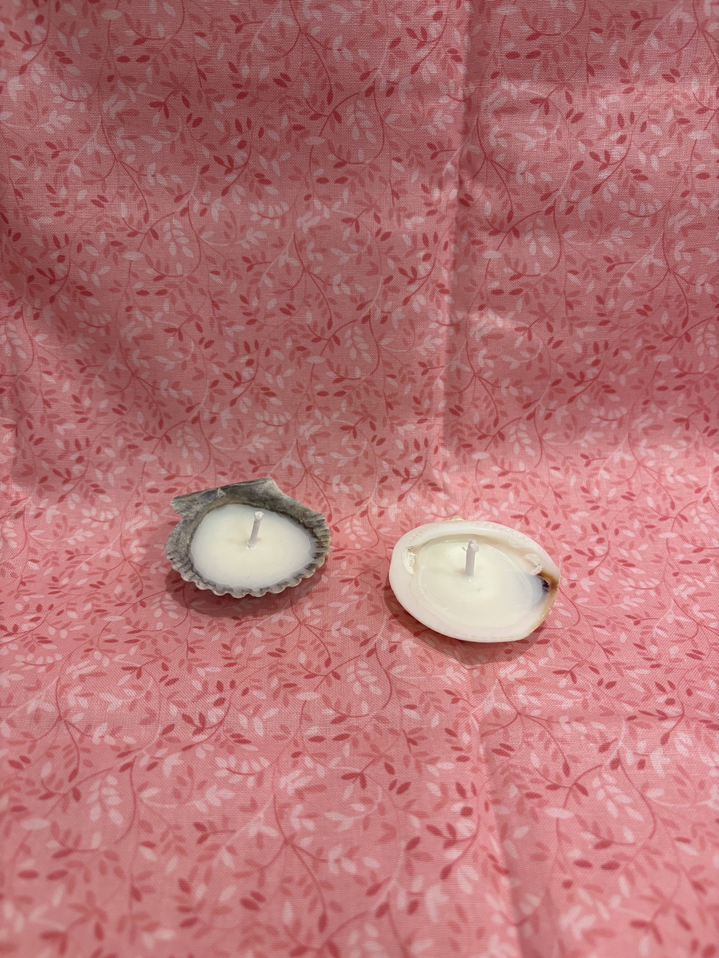 SHELL CANDLES